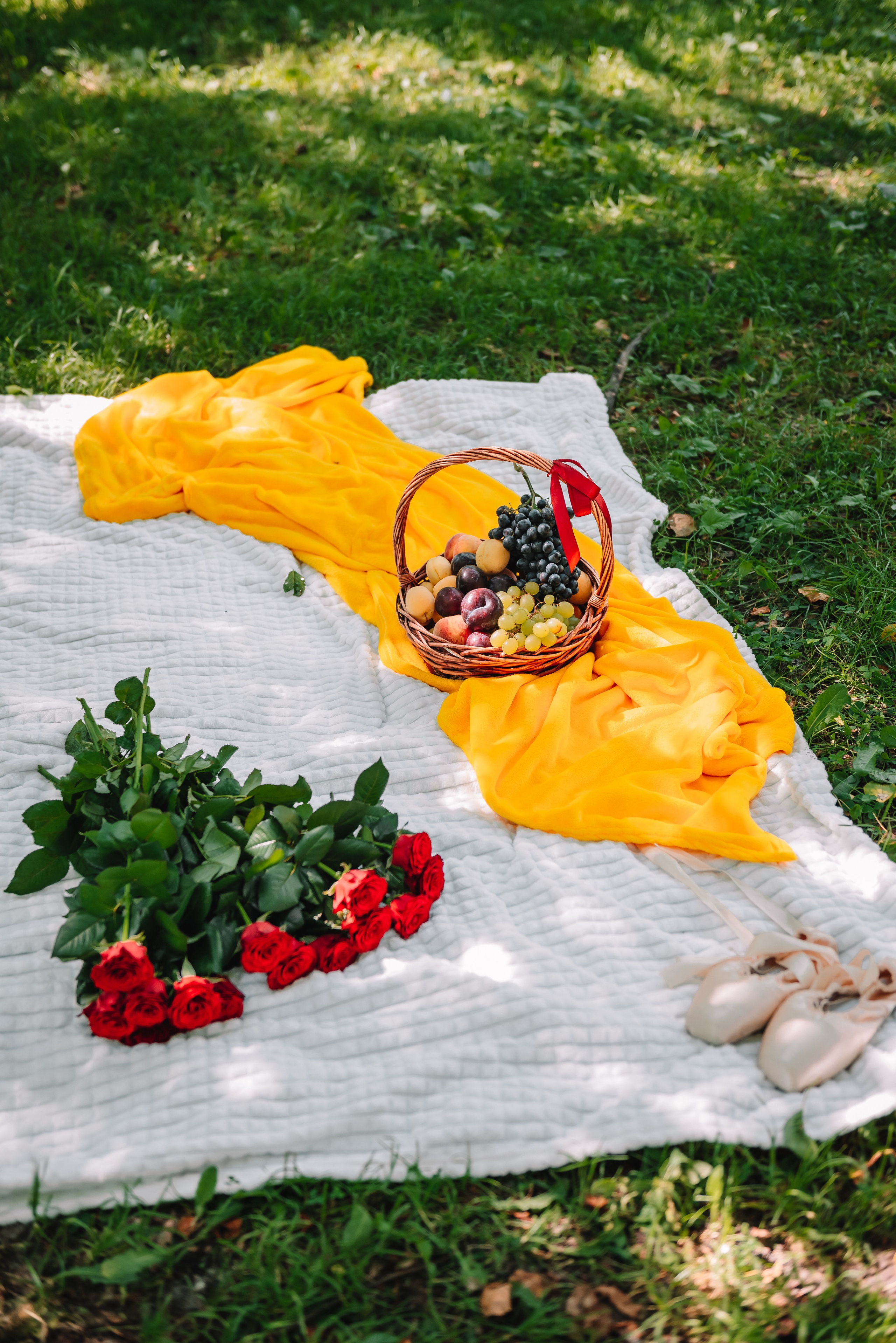 LEVITA (пикник)