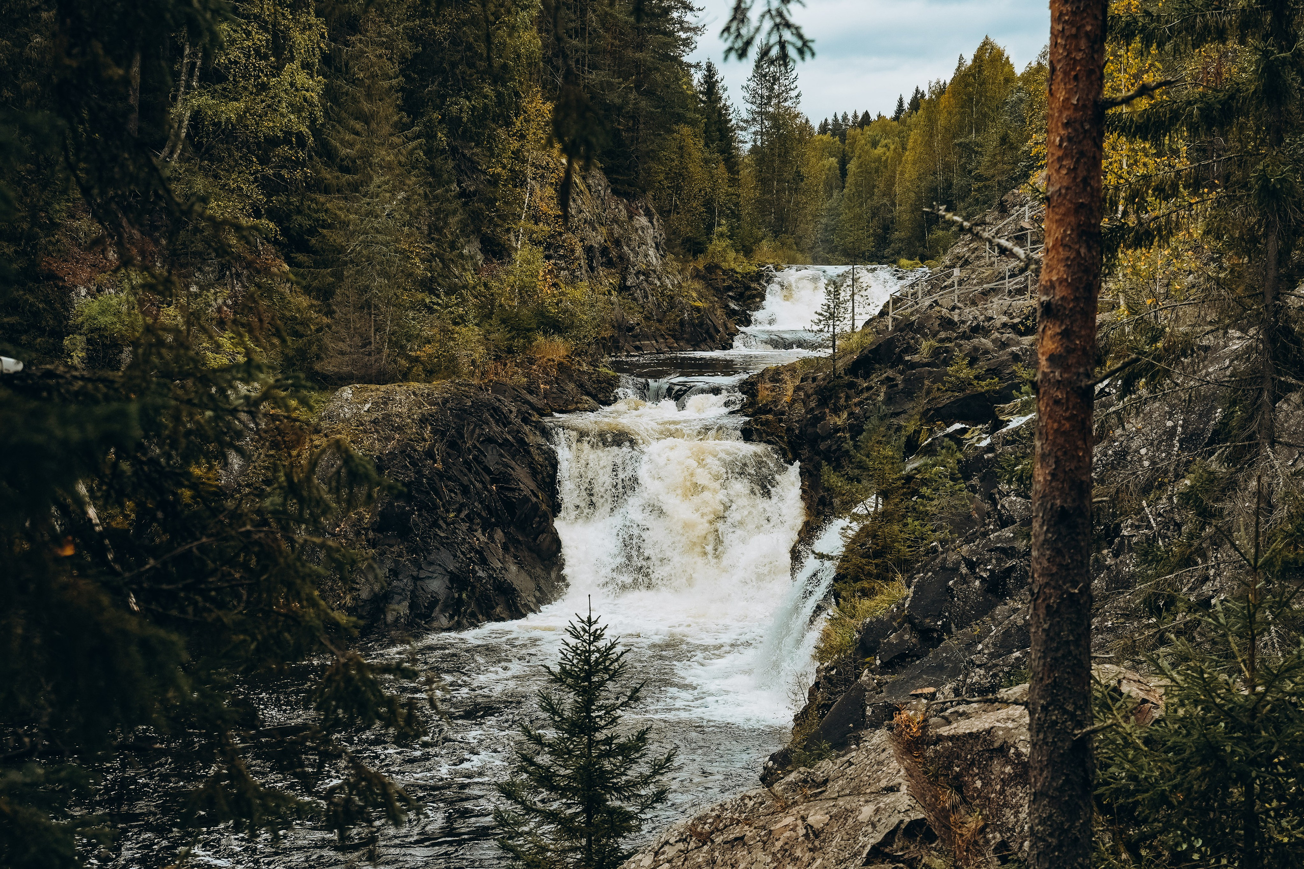 СЕВЕР. Event фотограф Степанова Александра