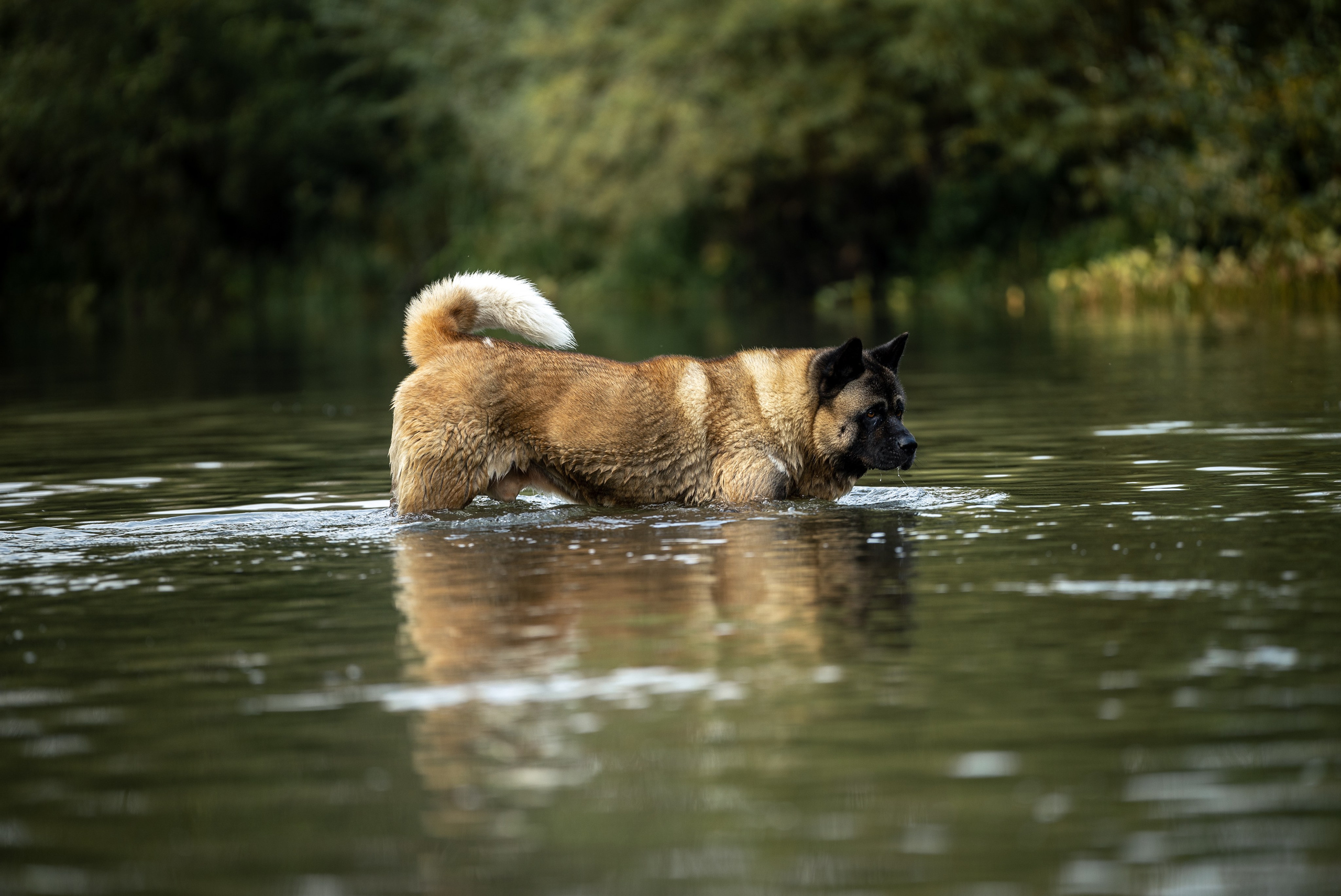 Природные пейзажи. Наталия Клевинскас портретный фотограф в Костроме