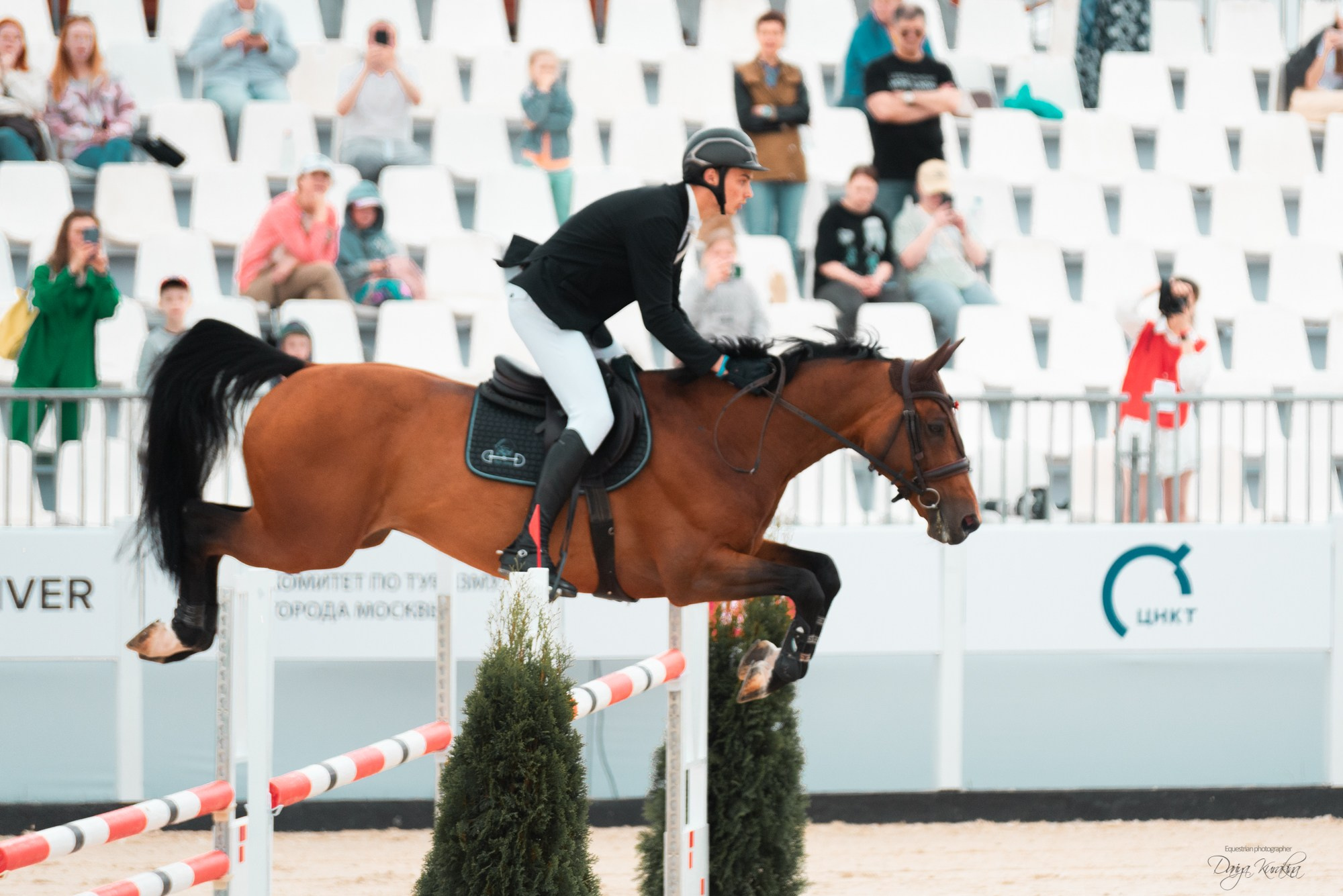 BITRIVER CUP 2023. Конный фотограф Куракина Дарья • Фотосессии с лошадьми