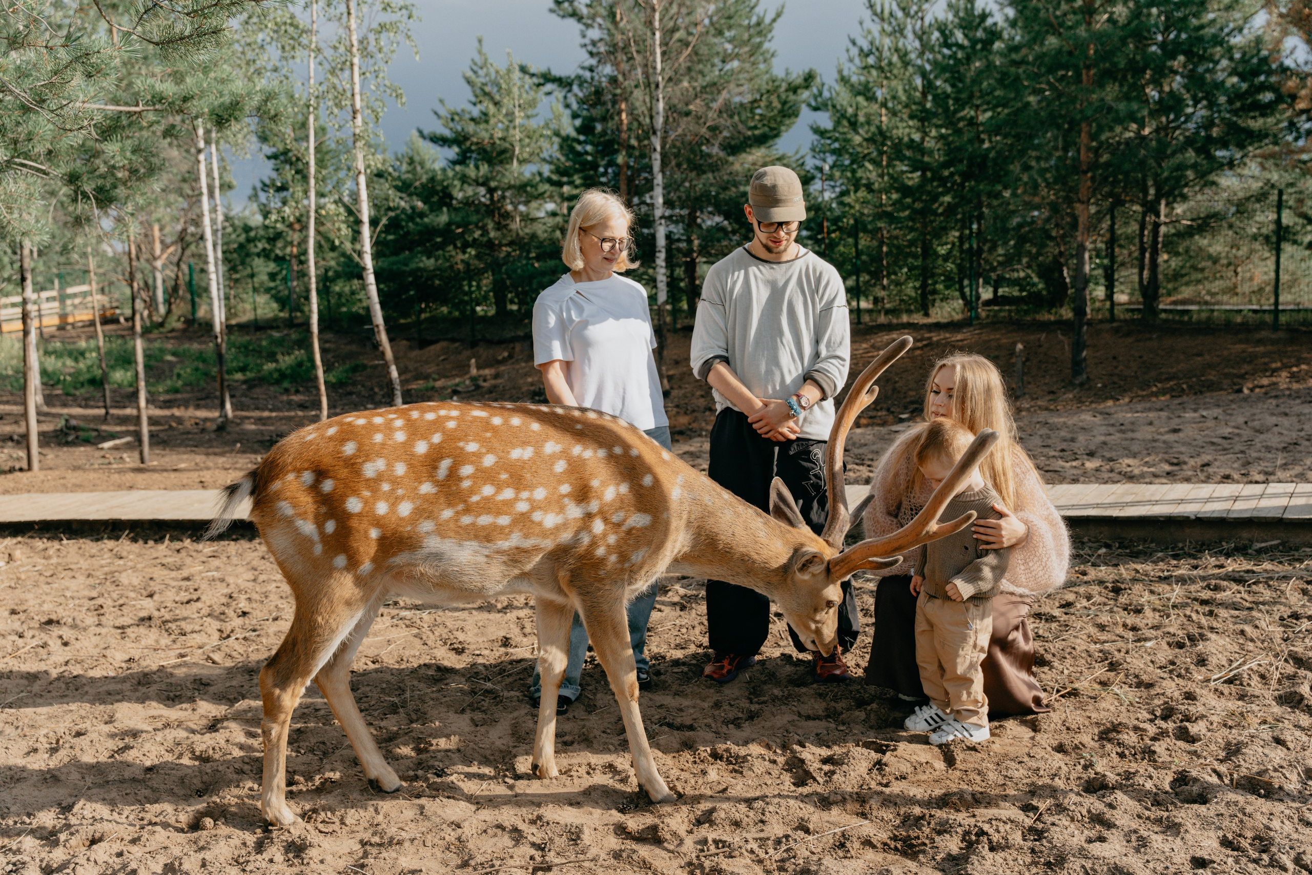В гости к оленям