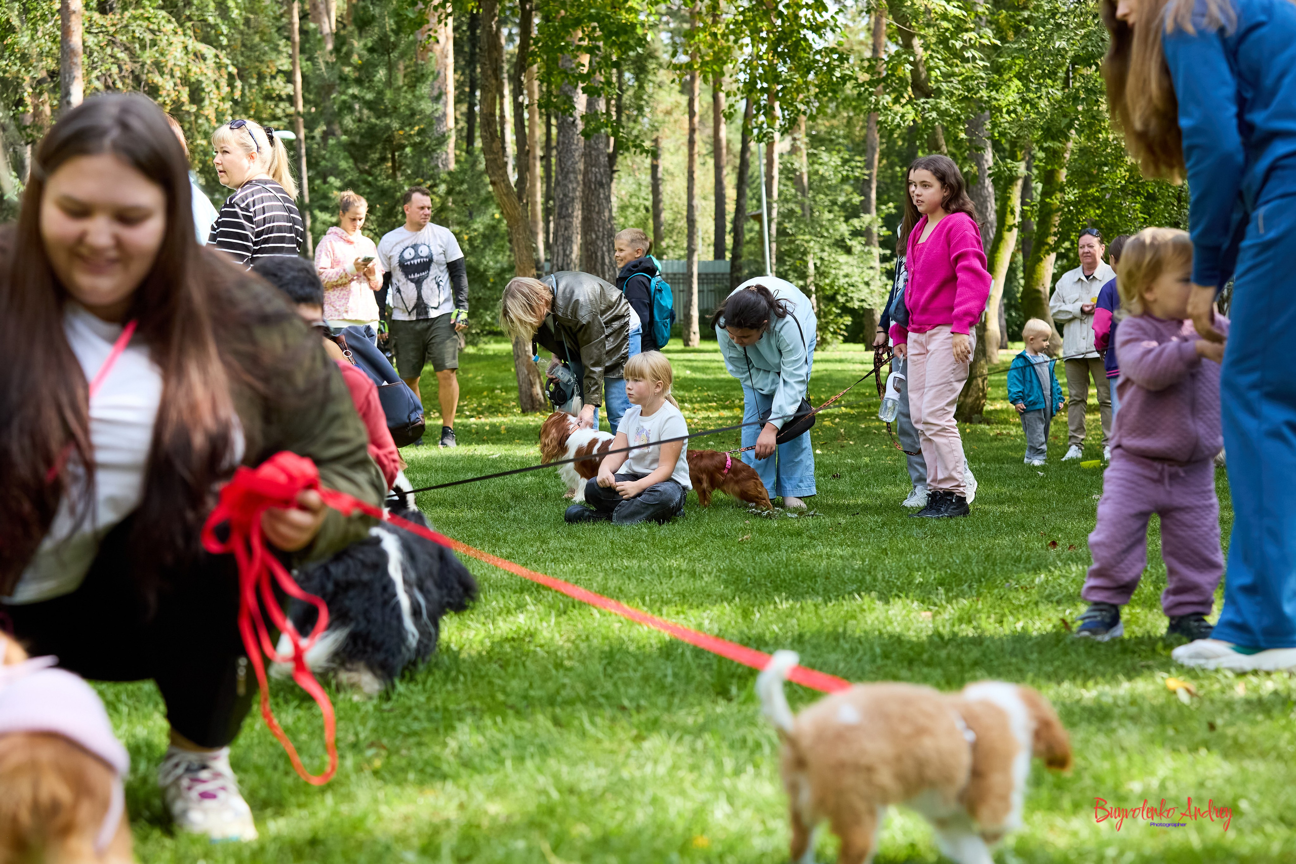 Фотопрогулка с кавалерами. Buyvolenko Andrey