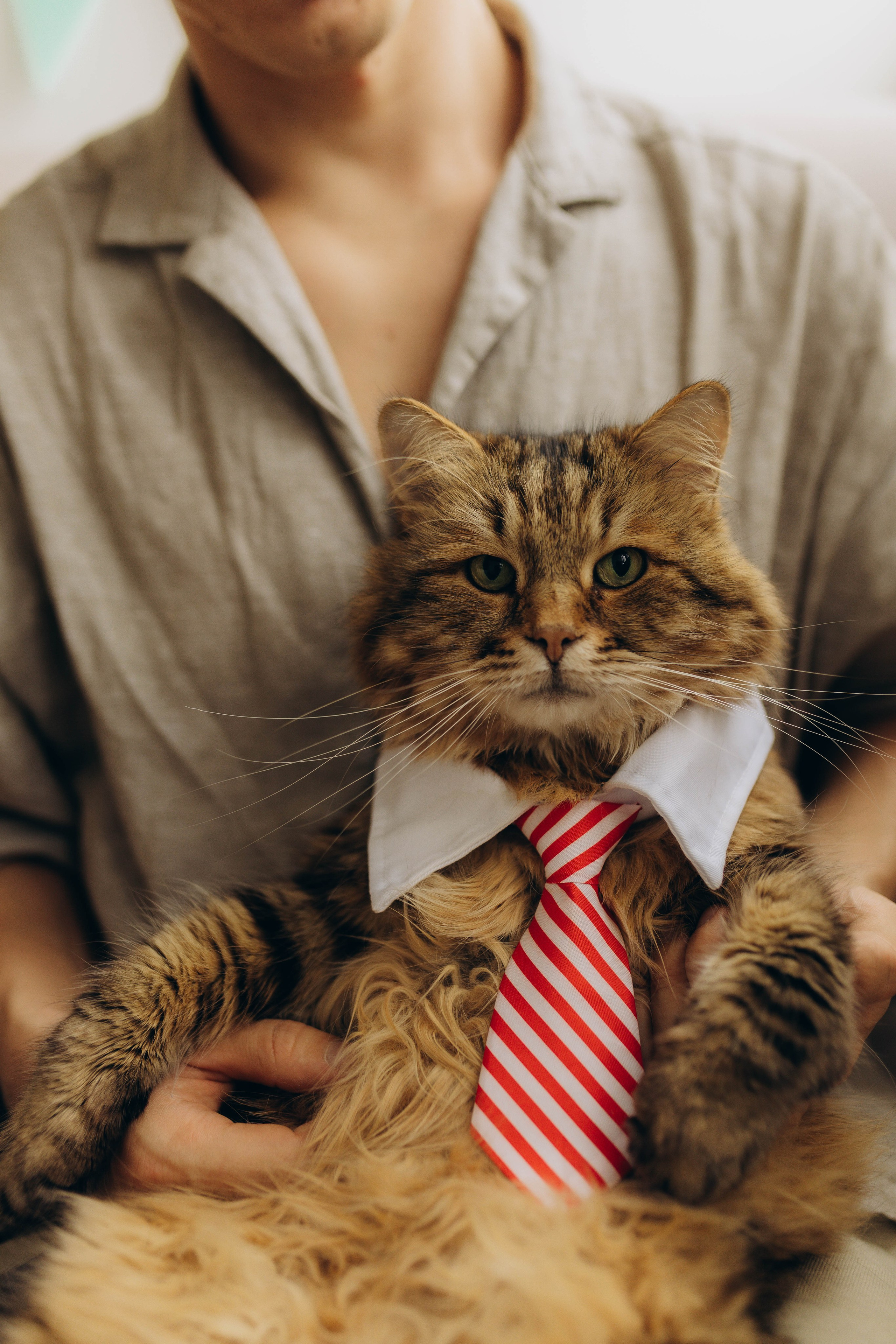 Аня, Костя и котики. Фотограф Саратов