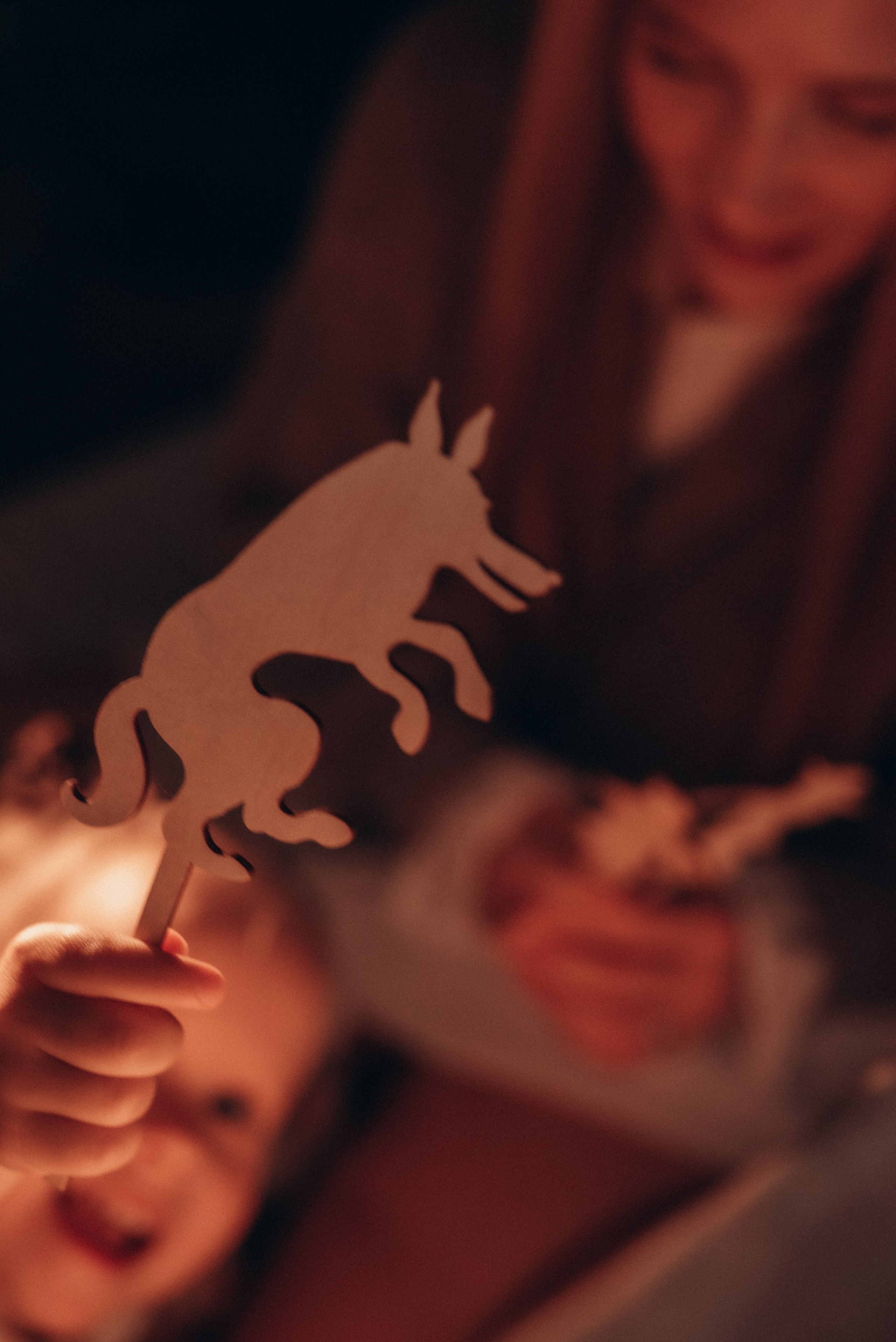 Ксения и Есения. Новогодняя. Семейный фотограф в Москве Дарья Пузикова