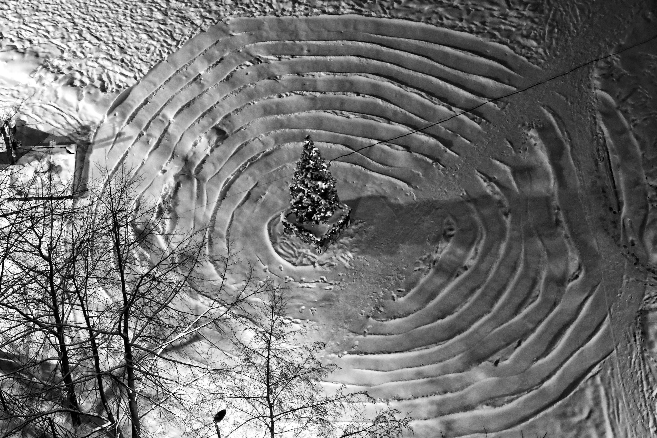 Серия «Подснежники». ANNA PAVLIKOVSKAYA ЧЕРНО-БЕЛАЯ ФОТОГРАФИЯ — ЭТО Я