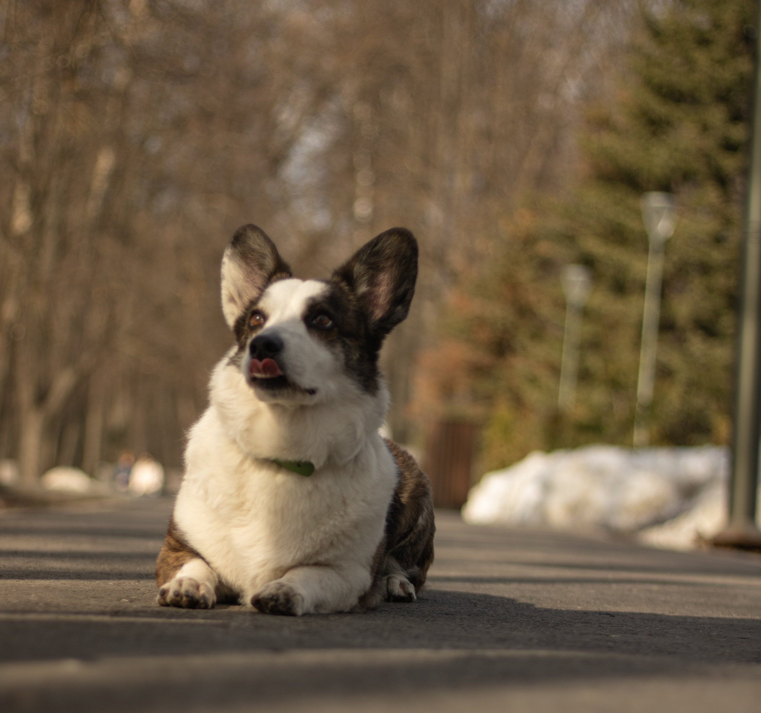 Юлия и Тэя. Катя Попова|ЛайфСтайл фотограф