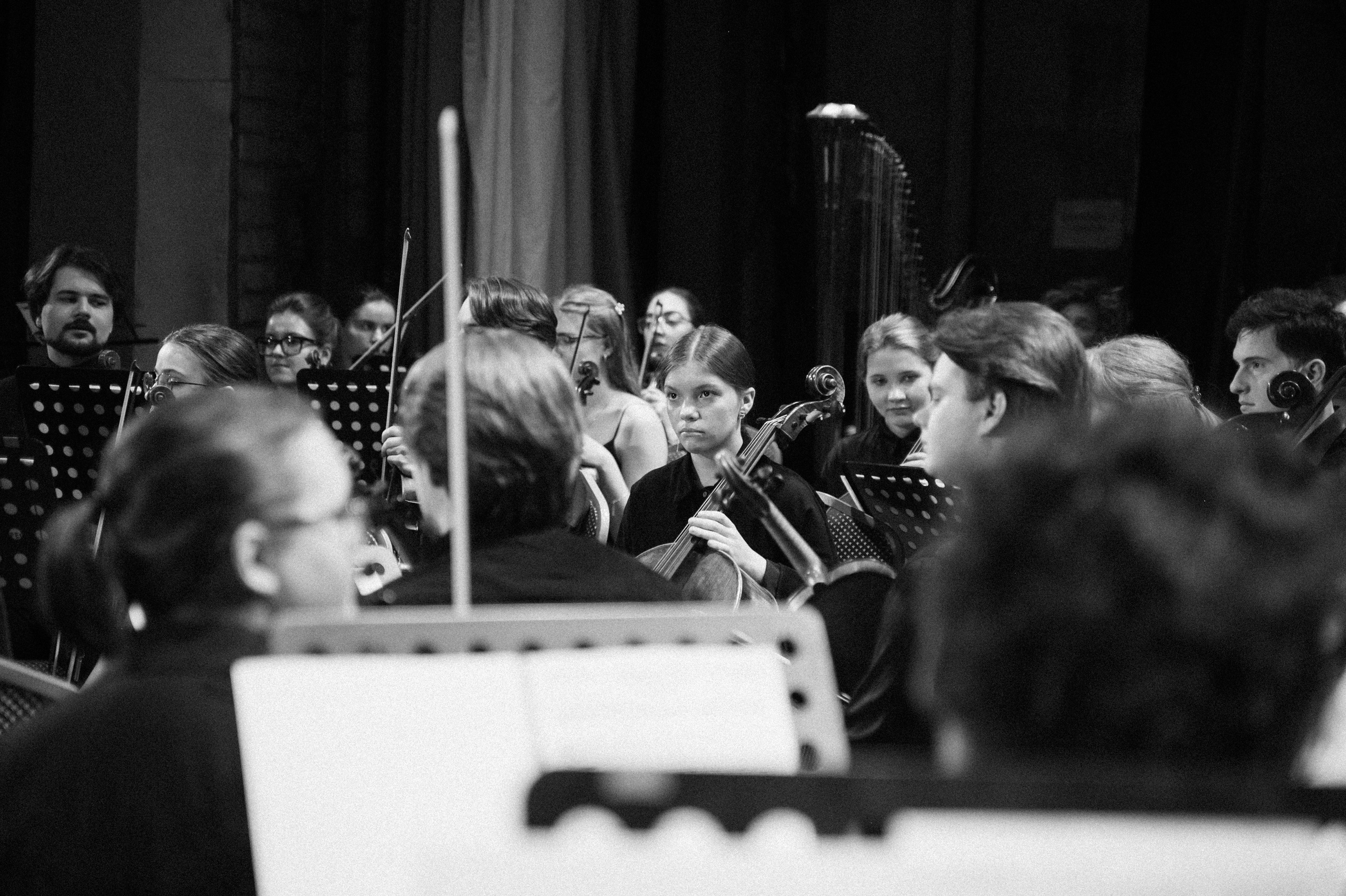 Симфонический оркестр. Фотограф в Волгограде Марина Черных