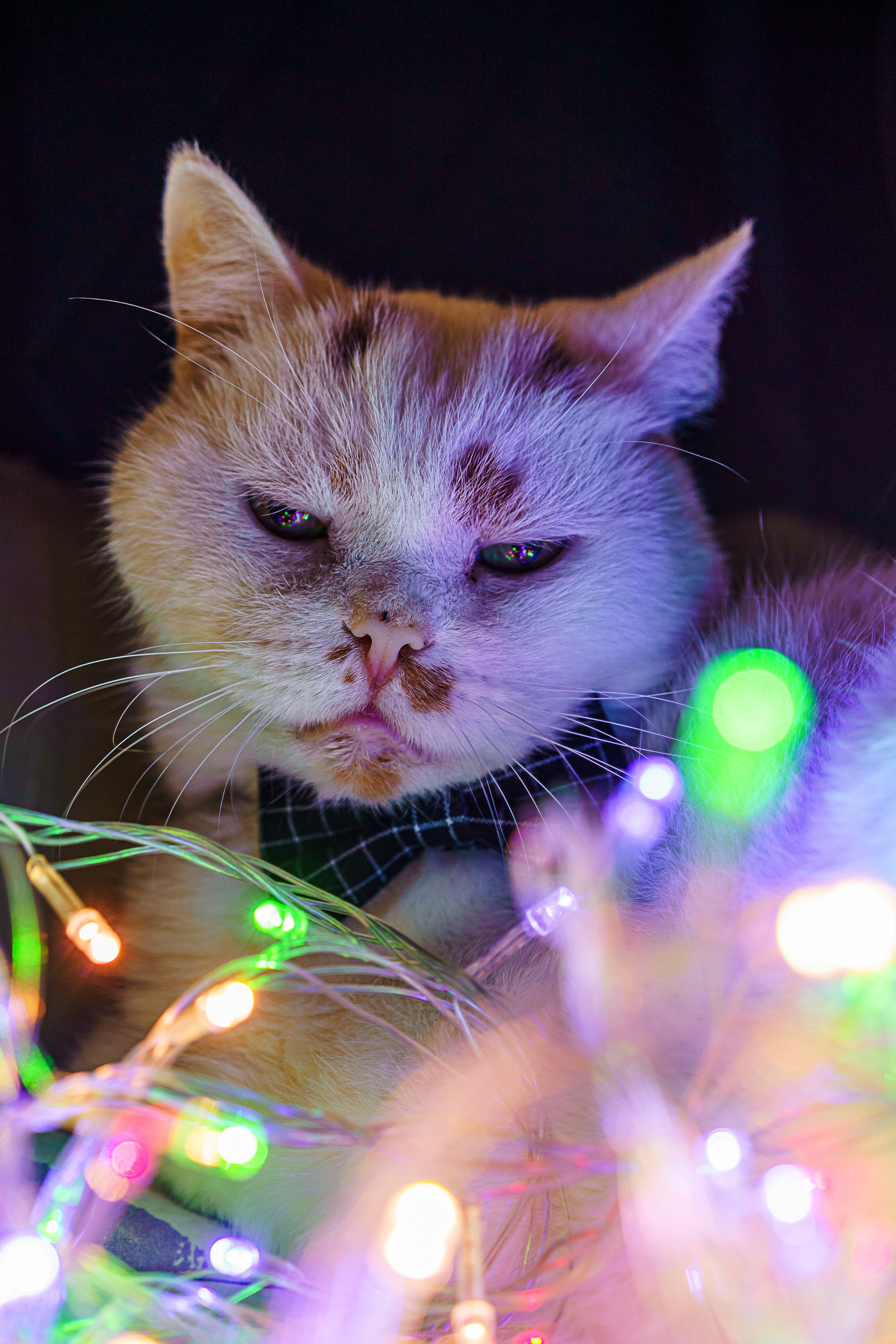 Праздник к нам пришёл!. Фотограф Челябинск · Ольга Серебрякова