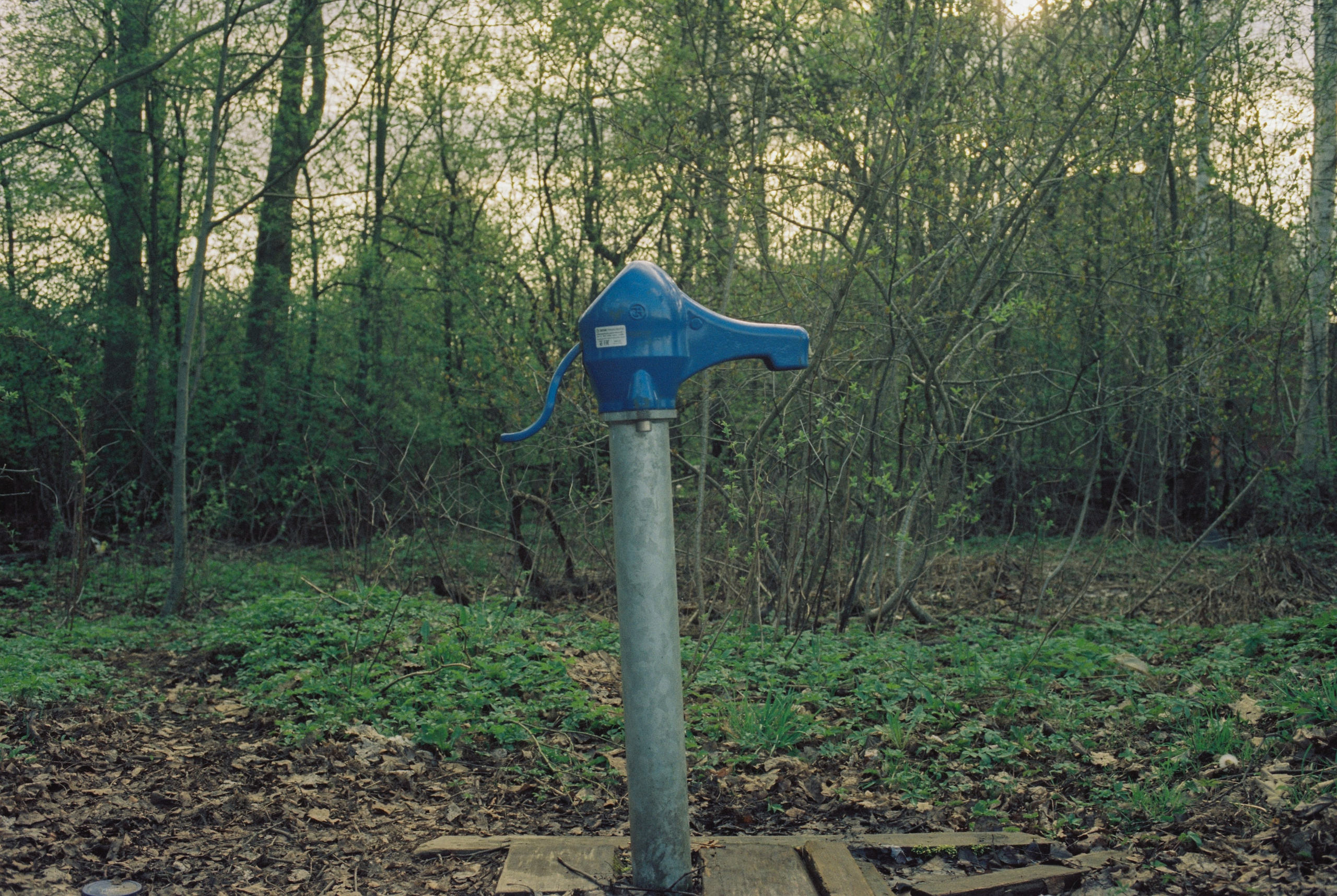 Плёночная весна 2025. Илья Михачёв Фотограф ПРО людей