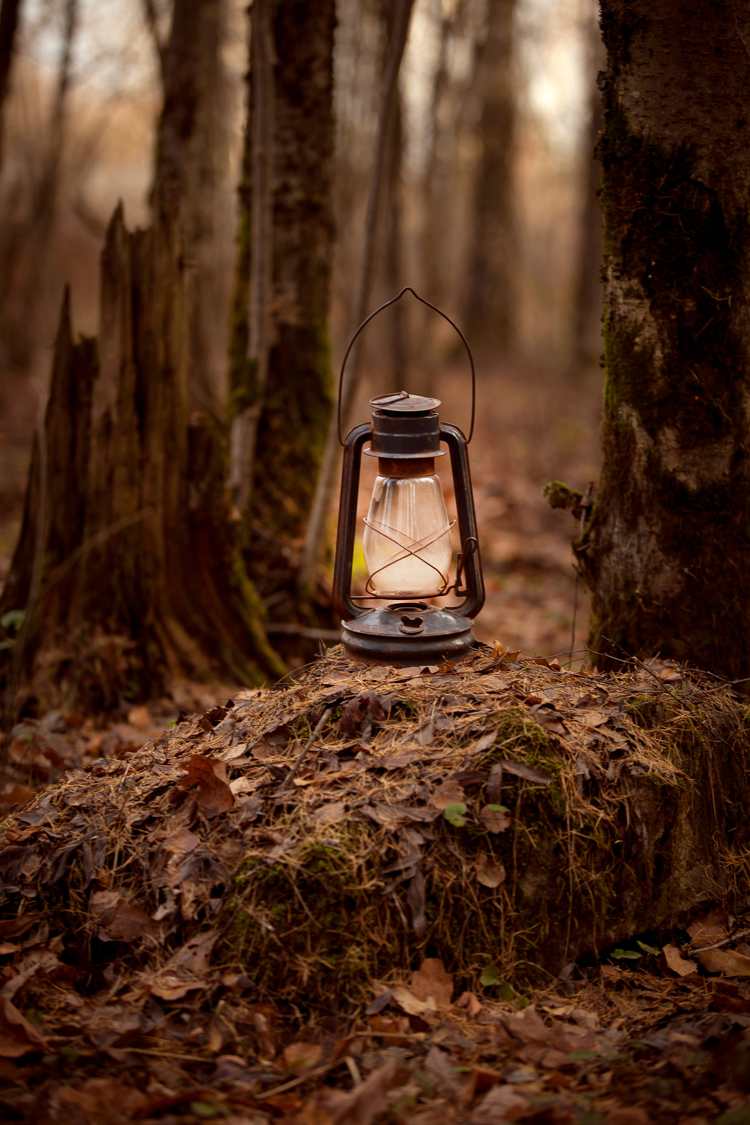 Witch. Фотограф Мария Кольцова