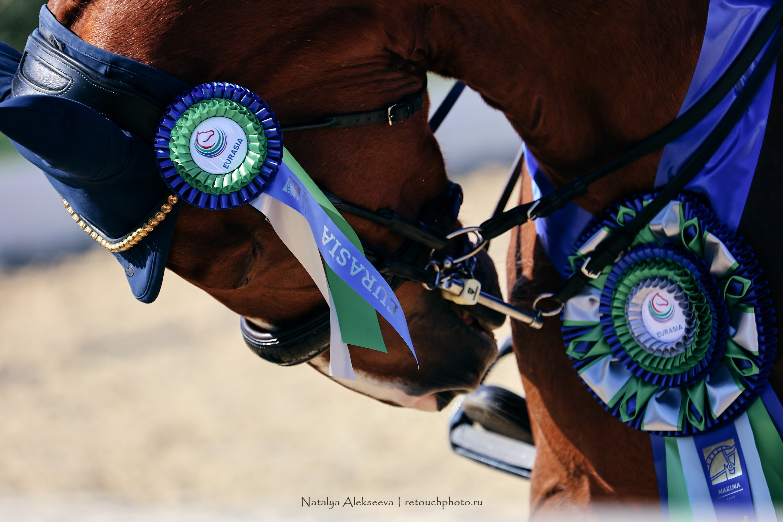 2023.09.22-24 Чемпионат MM Eurasia по средним ездам, Maxima Stables | 09'2023. Репортажный фотограф и ретушер в Москве Наталья Алексеева