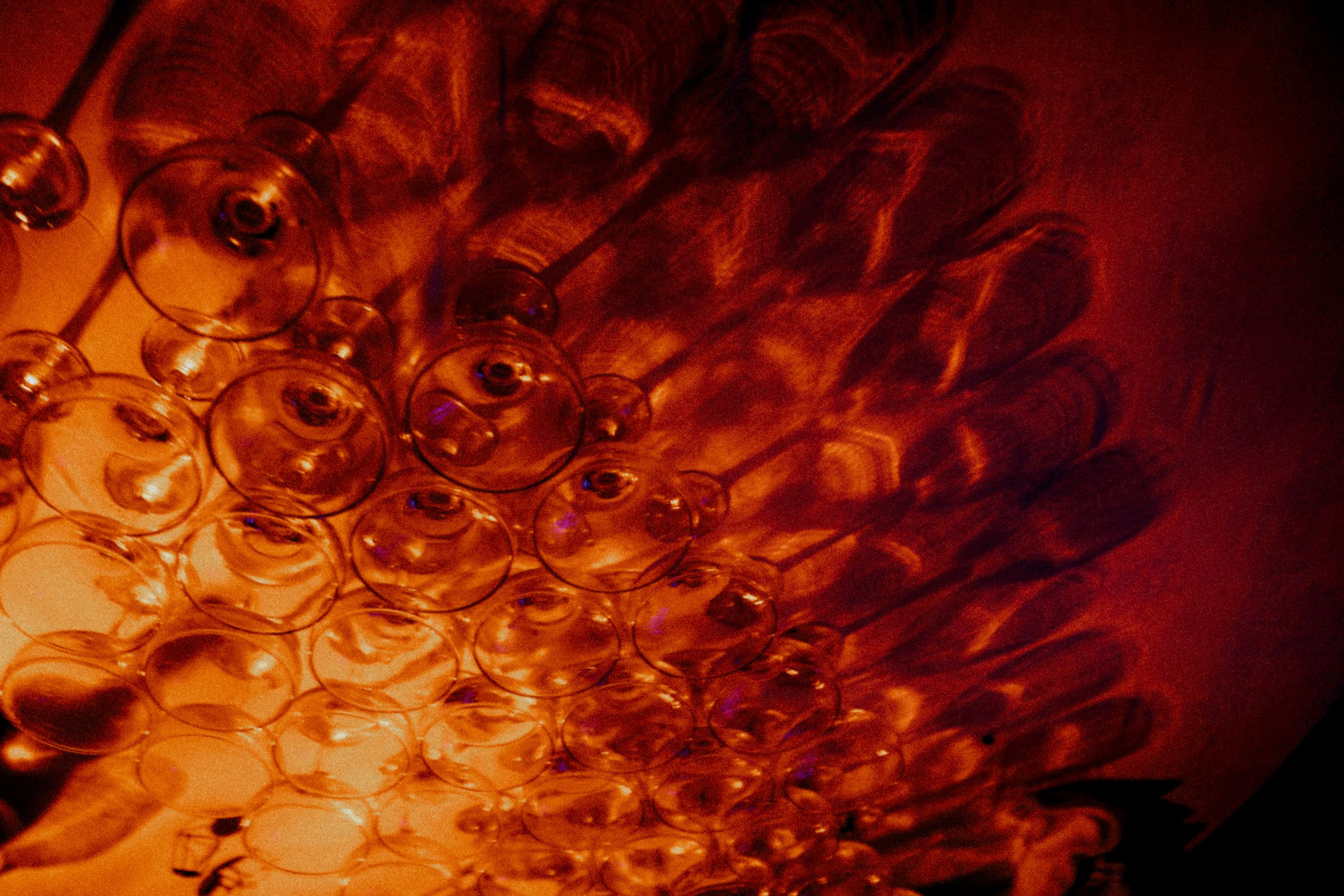 VICE_CITY. Свадебный фотограф в Москве Павел Лепешев