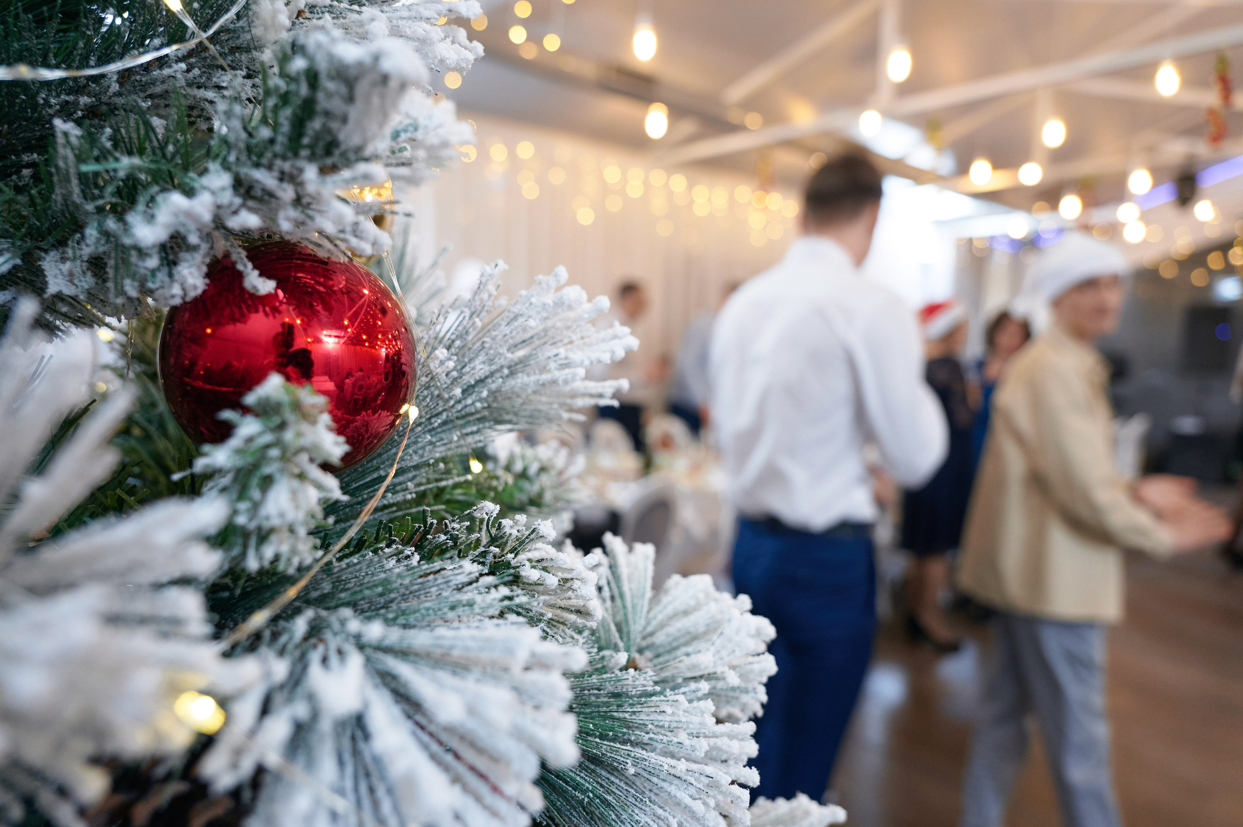 2ГИС НГ 2023-2024. Фотограф Опыт Качество Скорость Горный Алтай Барнаул