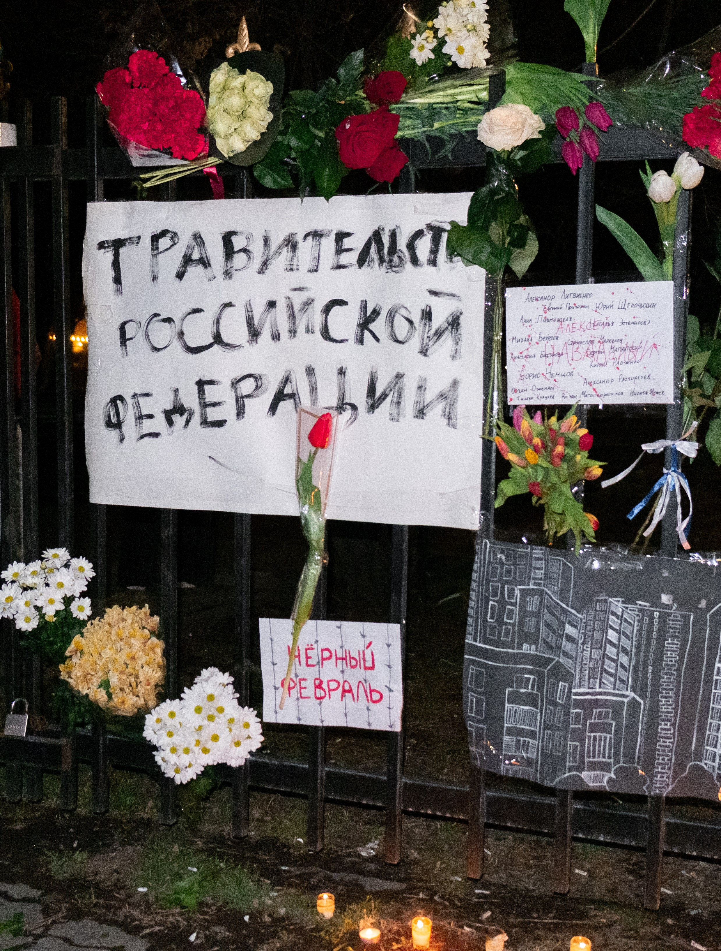 A picket in honor of the anniversary of Alexei Navalny's death. Я — Мария, фотограф/фотохудожник в Санкт-Петербурге