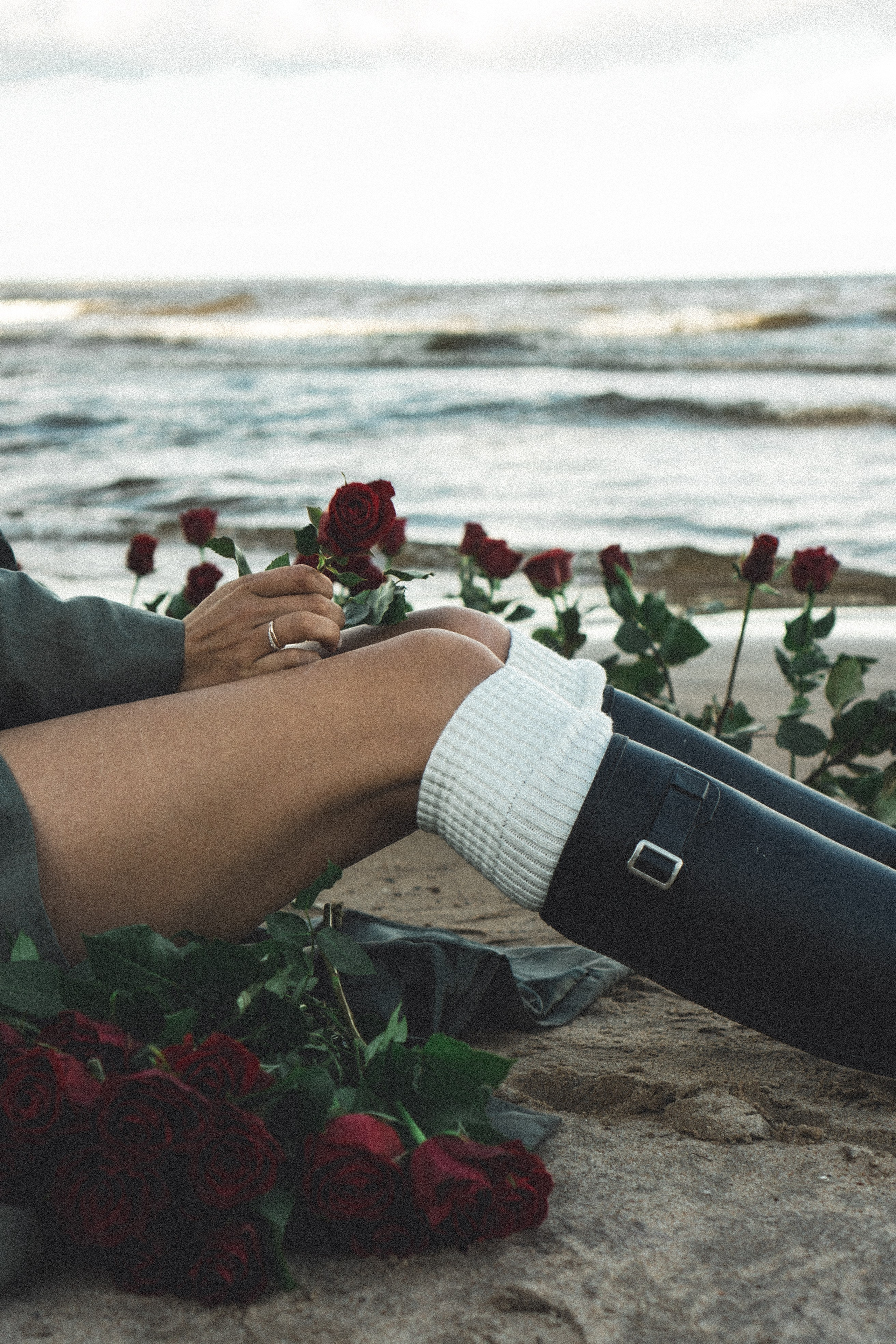 Розы. Профессиональный фотограф, Санкт-Петербург — Виктория Богомолова