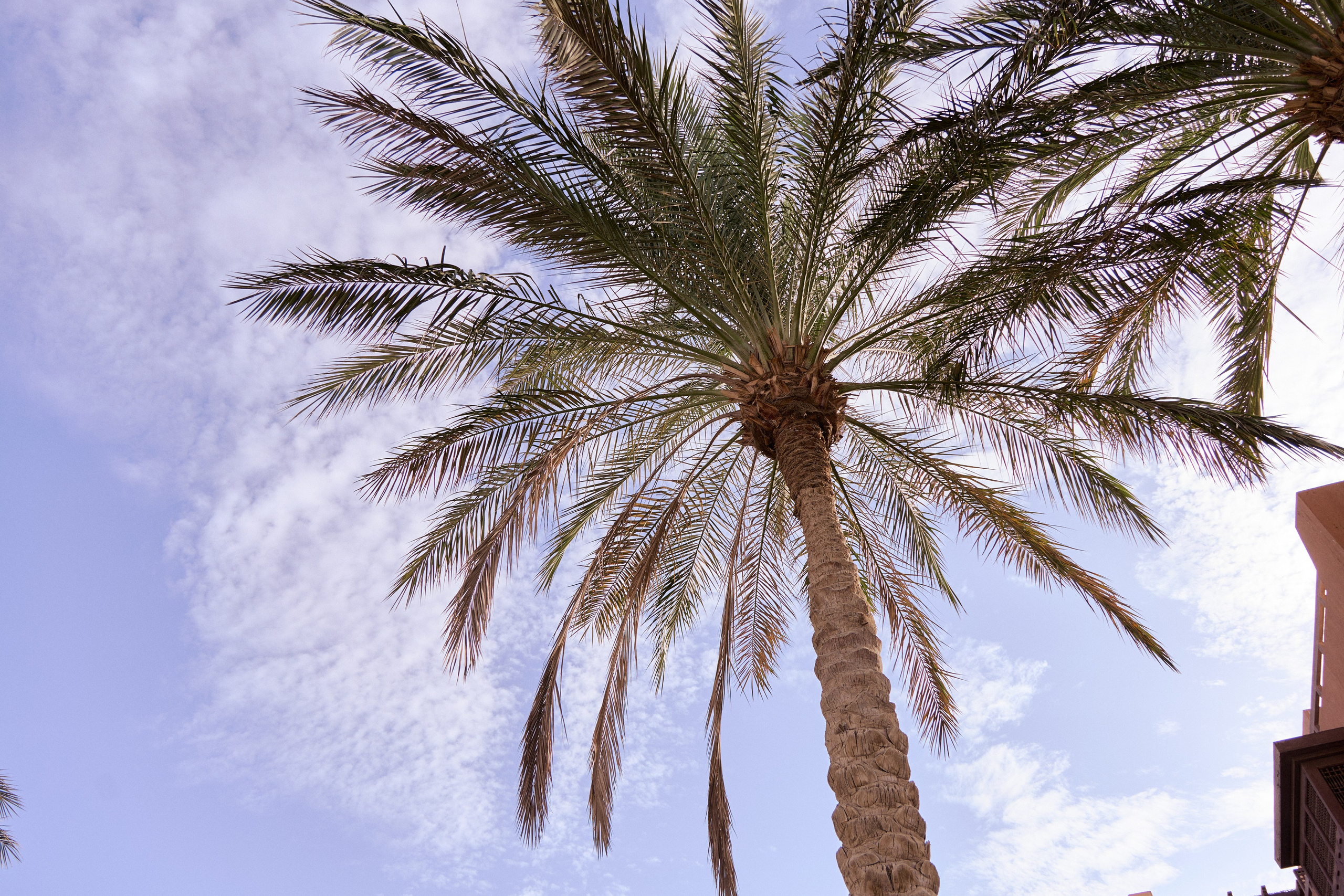 Другое 3. Jorgis — фотограф в Хургаде / обучение фотографии