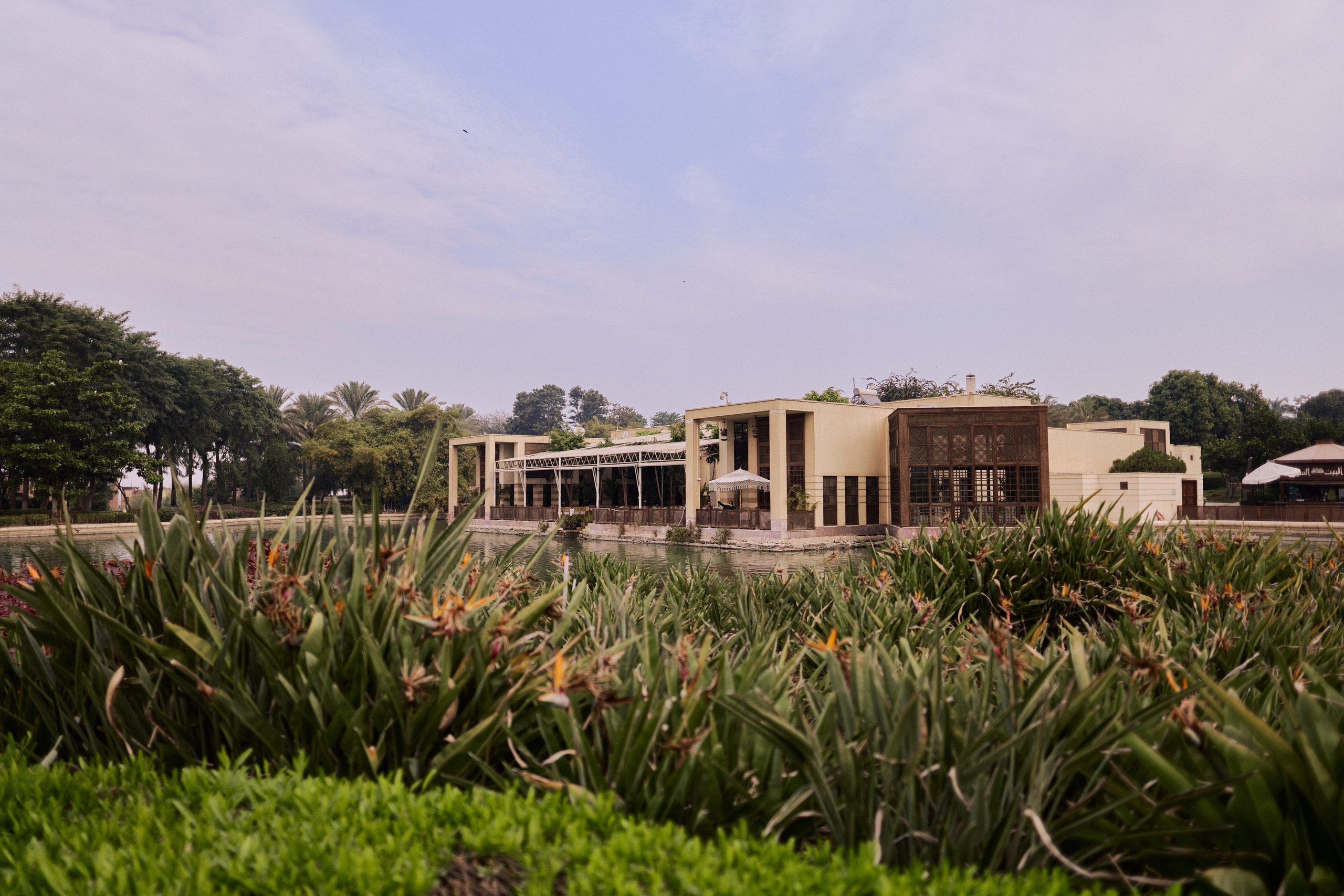 Другое 4. Jorgis — фотограф в Хургаде / обучение фотографии