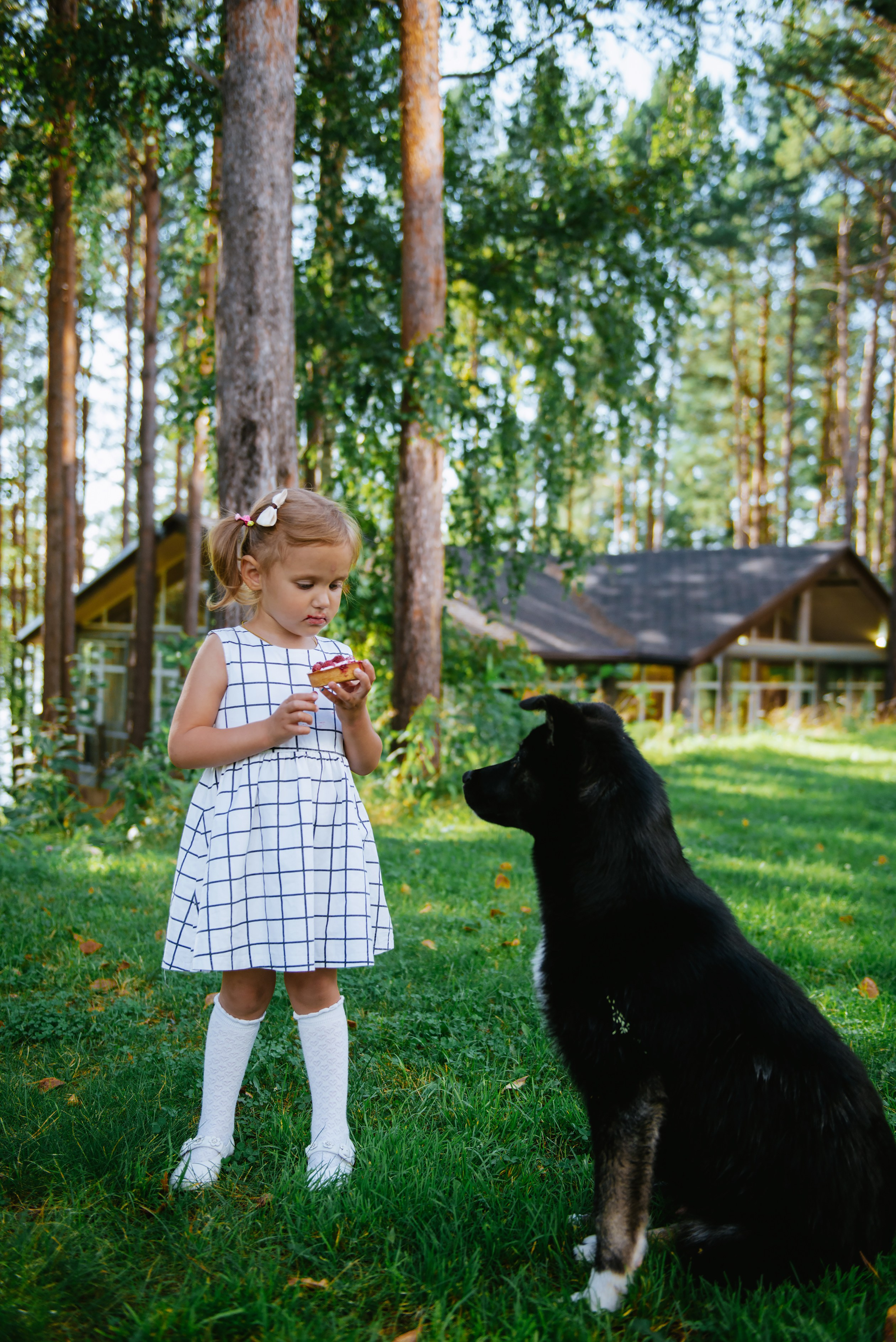 Мероприятия. Фотограф в Москве Алёна Степутенко