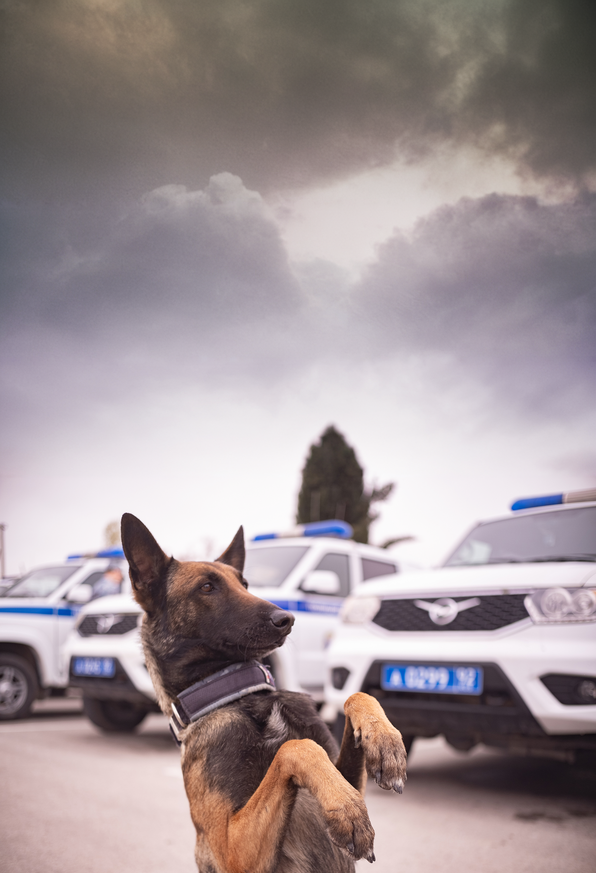 Природа. Kunchiy_