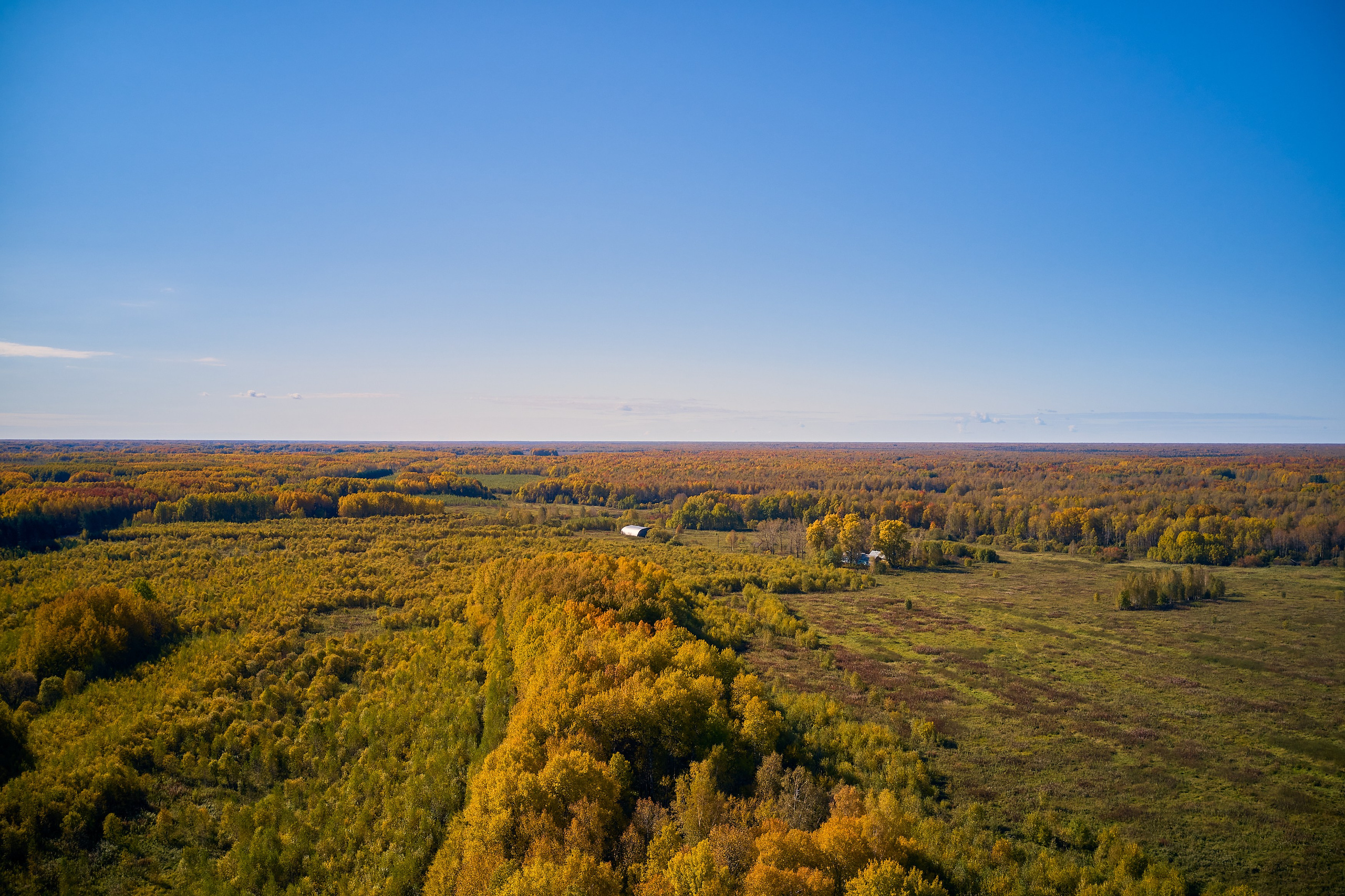 Съемка в полете. DMITRY MOISEENKO — фотограф, художник, топ-стилист