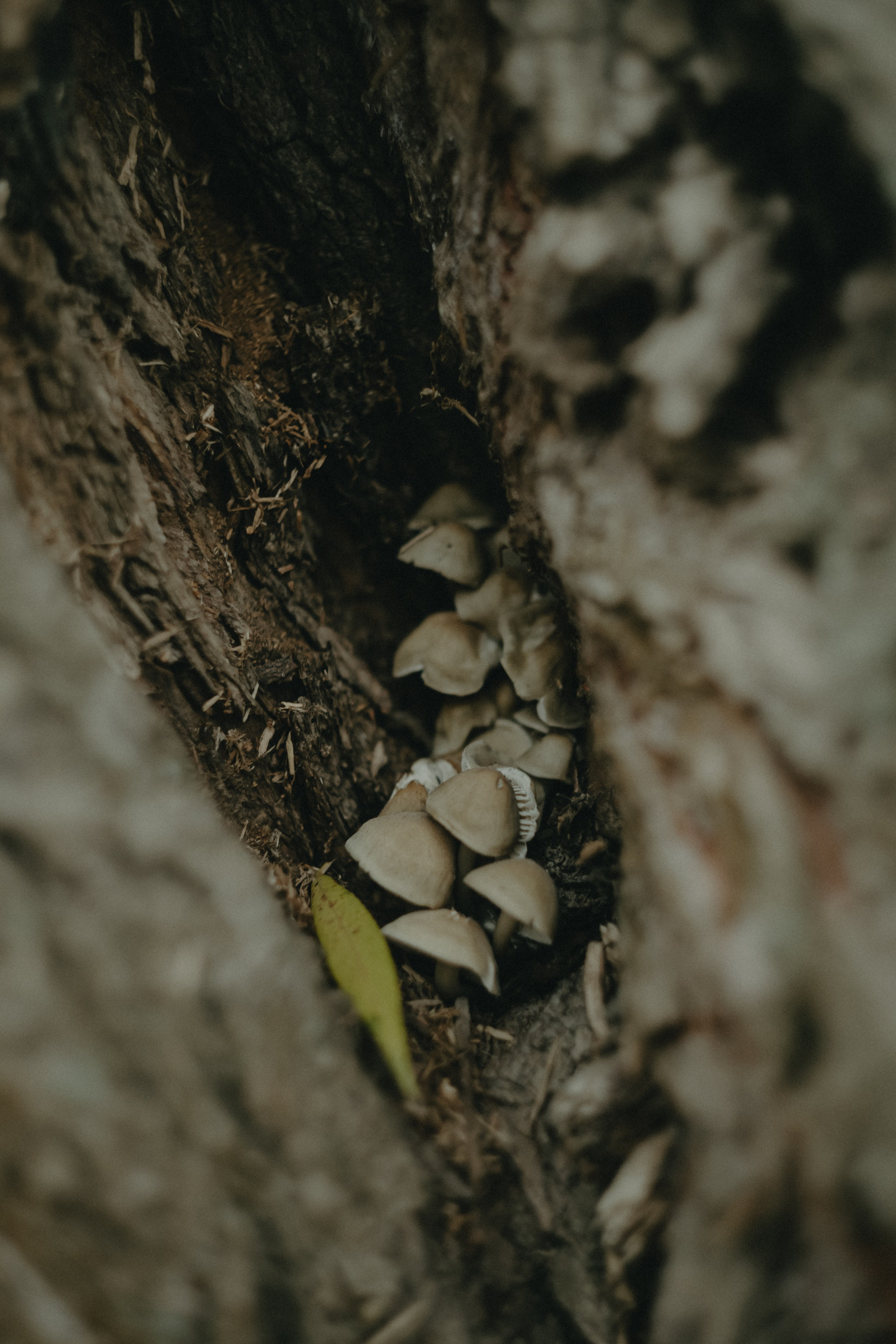 Диана и Антон. Свадебный и семейный фотограф Женя Добрянская в Нижнем Новгороде