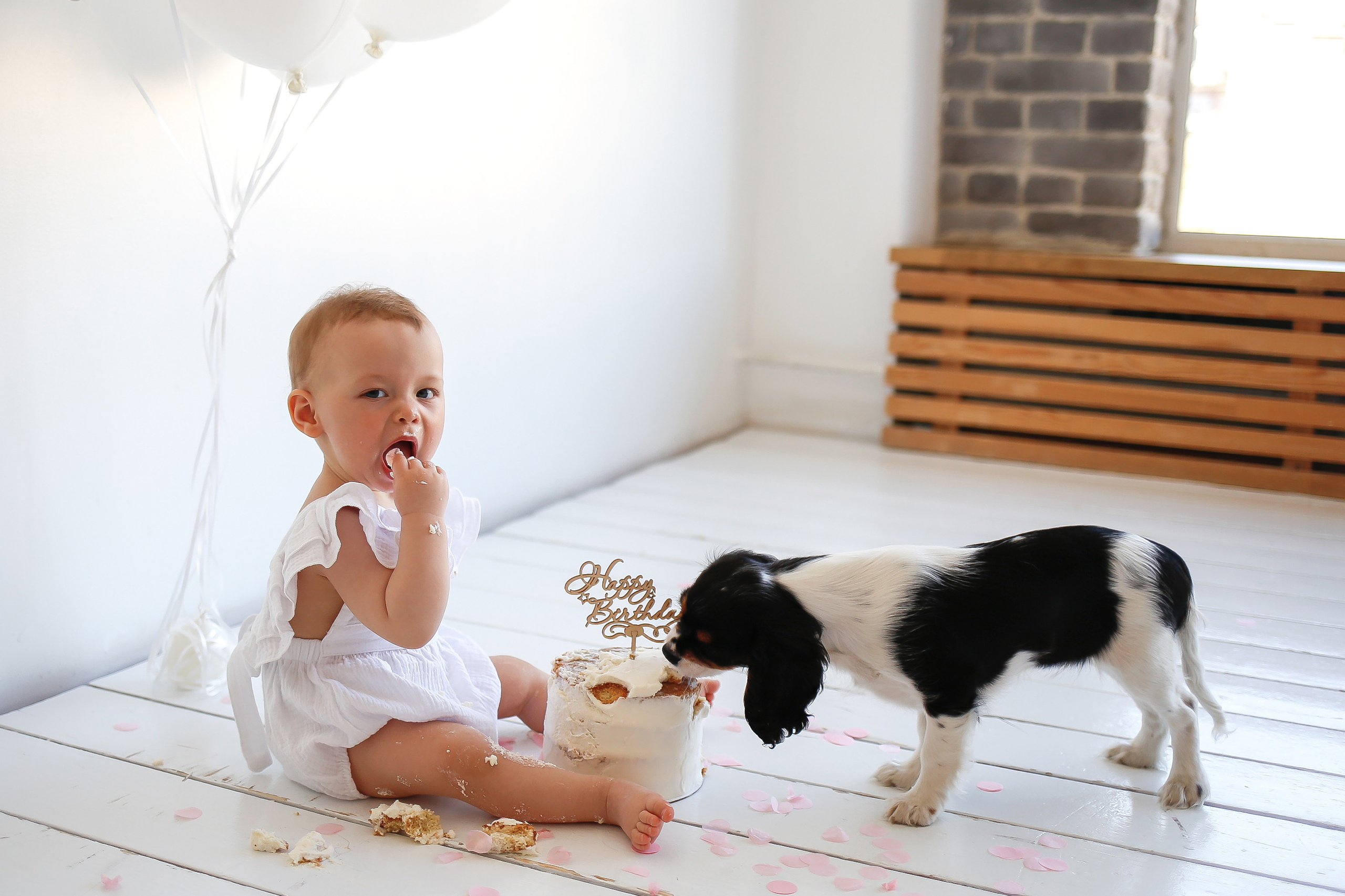 Фотосессия с питомцем