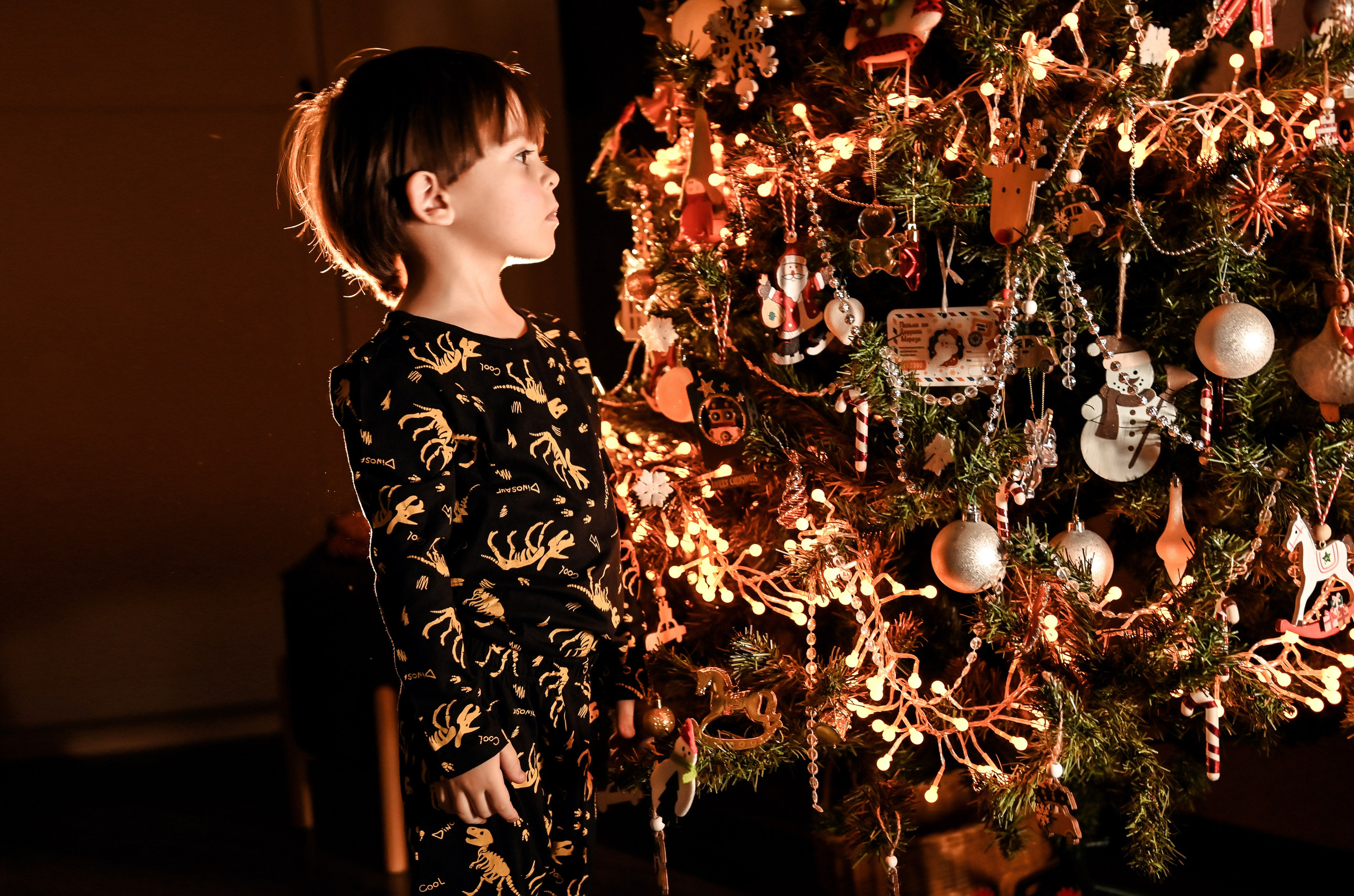 Домашняя новогодняя. Свадебный, семейный, детский, контент фотограф в Омске Максим Ильин