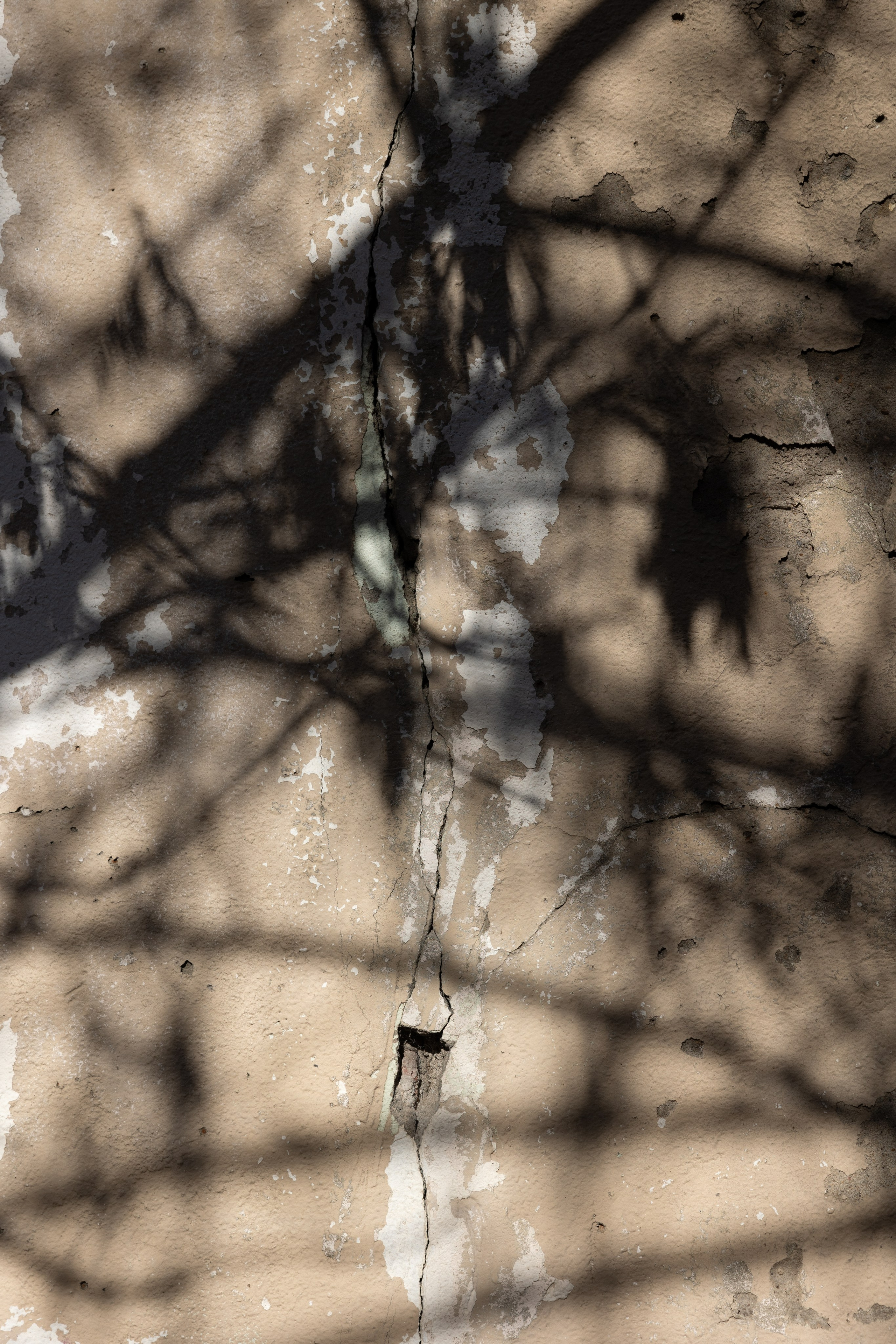 Art prints. Фотограф алина стерхова, алина стерхова фотограф, фотограф москва