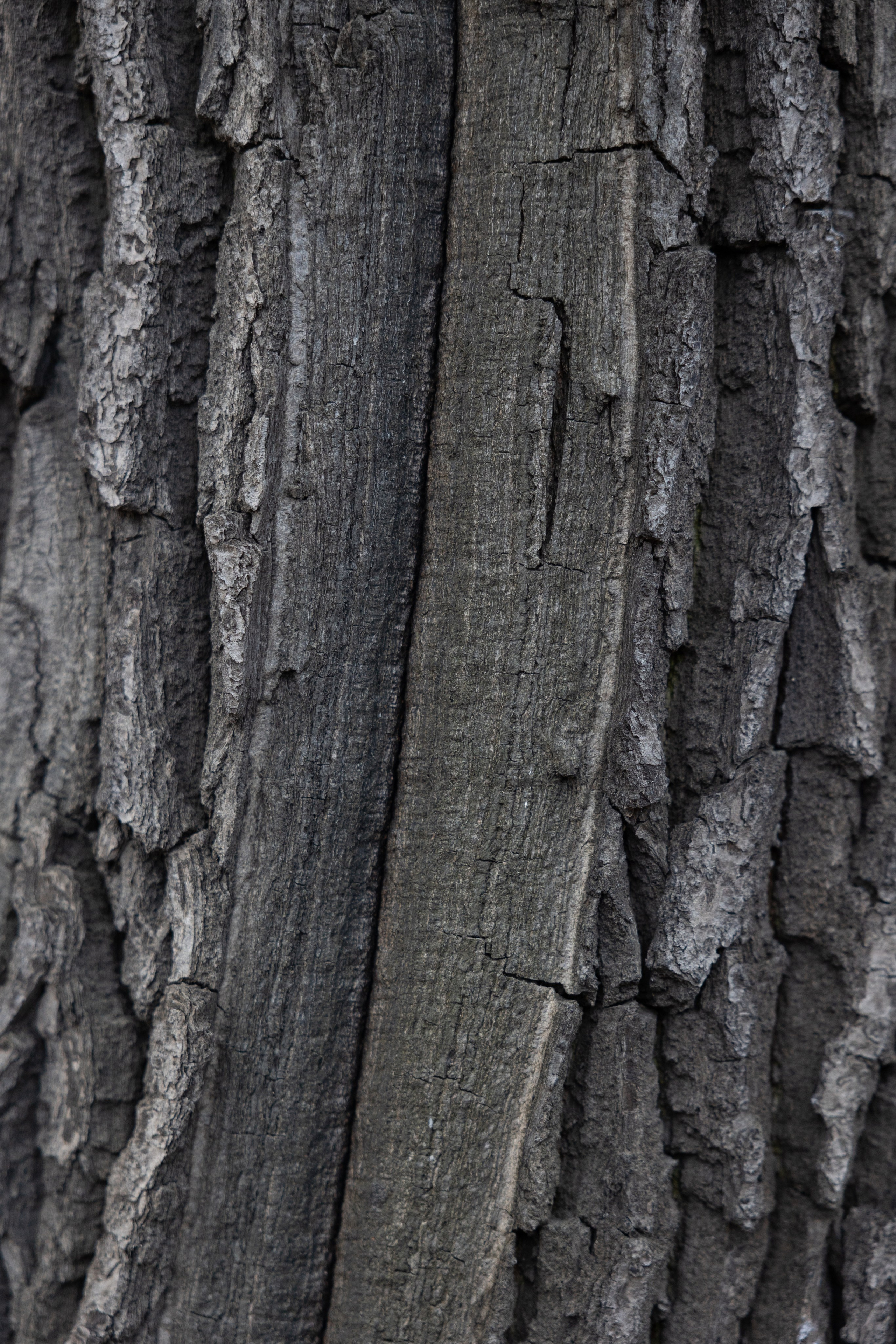 Art prints. Фотограф алина стерхова, алина стерхова фотограф, фотограф москва