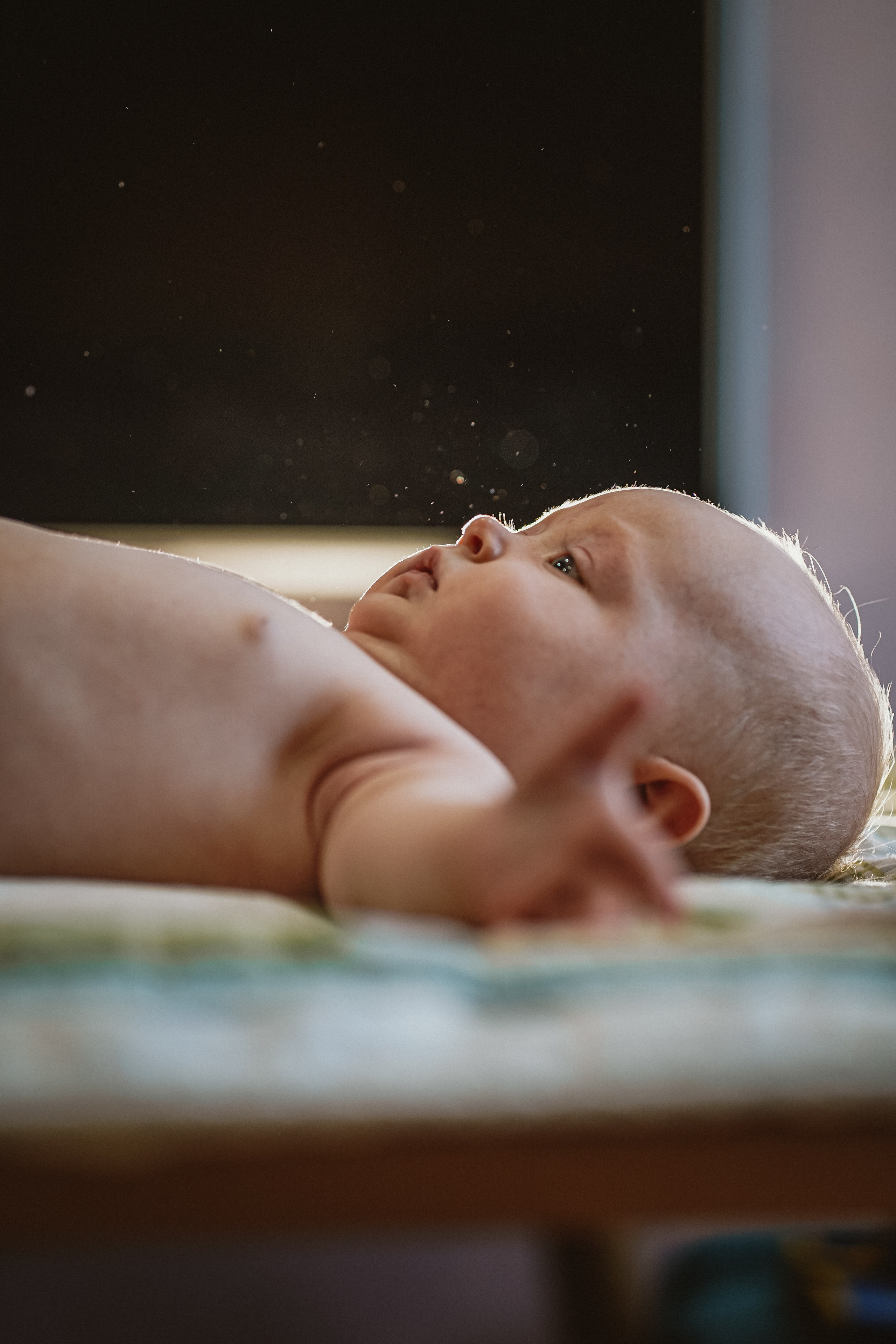 Ксюша. Семейный и детский фотограф в Москве (Тинао) Галкина Алевтина