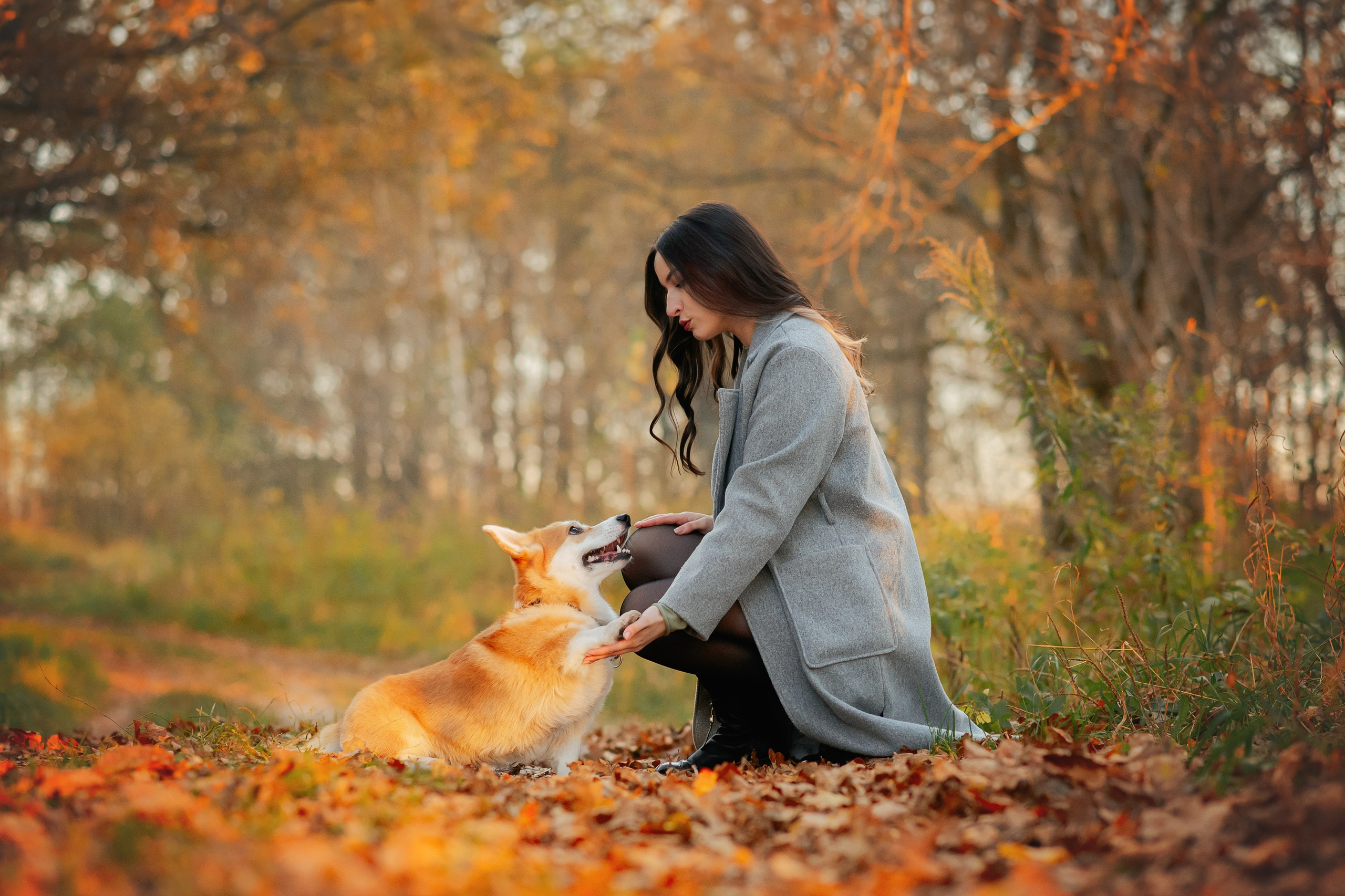Максим, Надя, Рой и Шелби — 13.10.2024. Фотограф — Анималист | Анна Абрамова