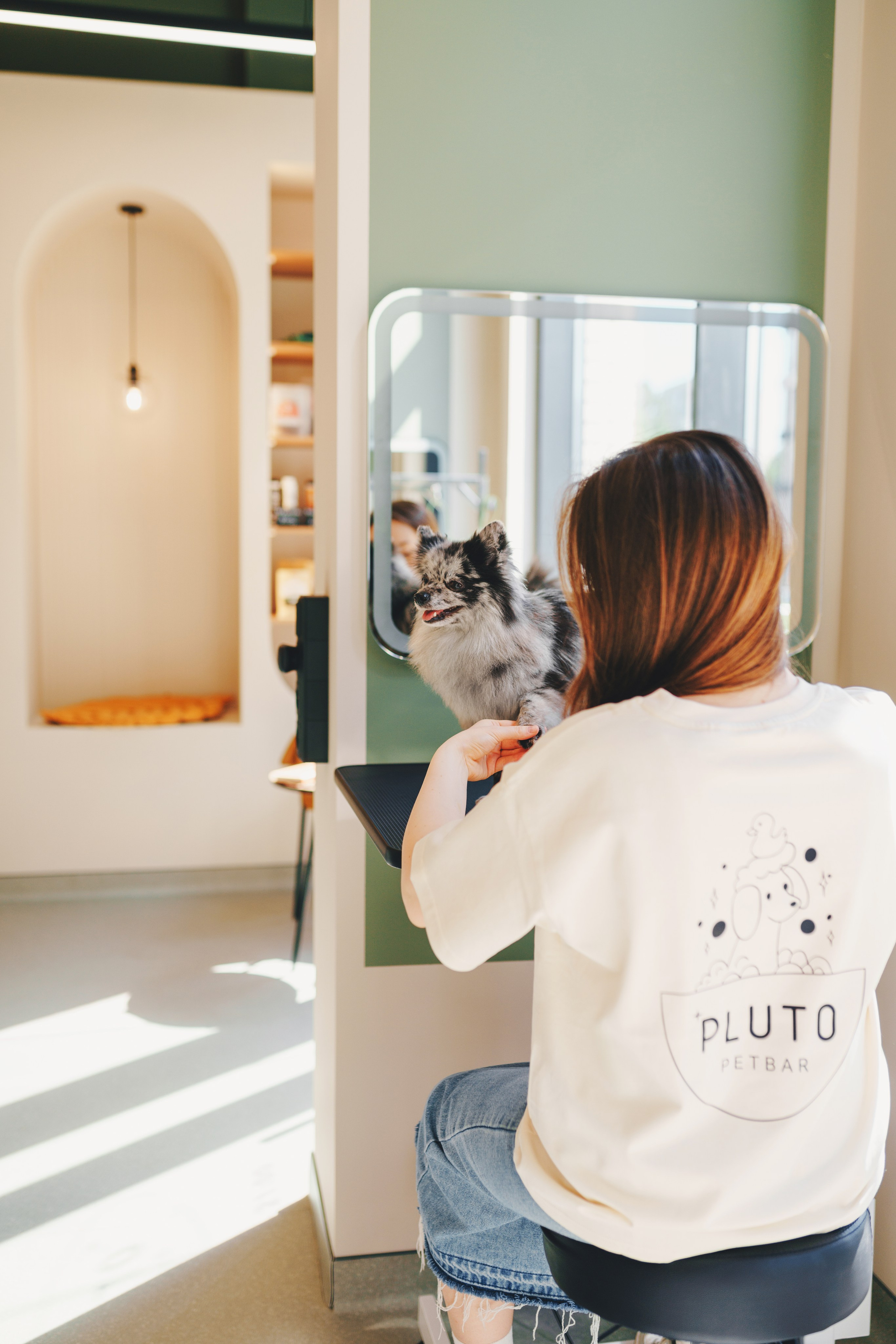 Груминг-салон. Фотограф анималист Осипчикова Мария