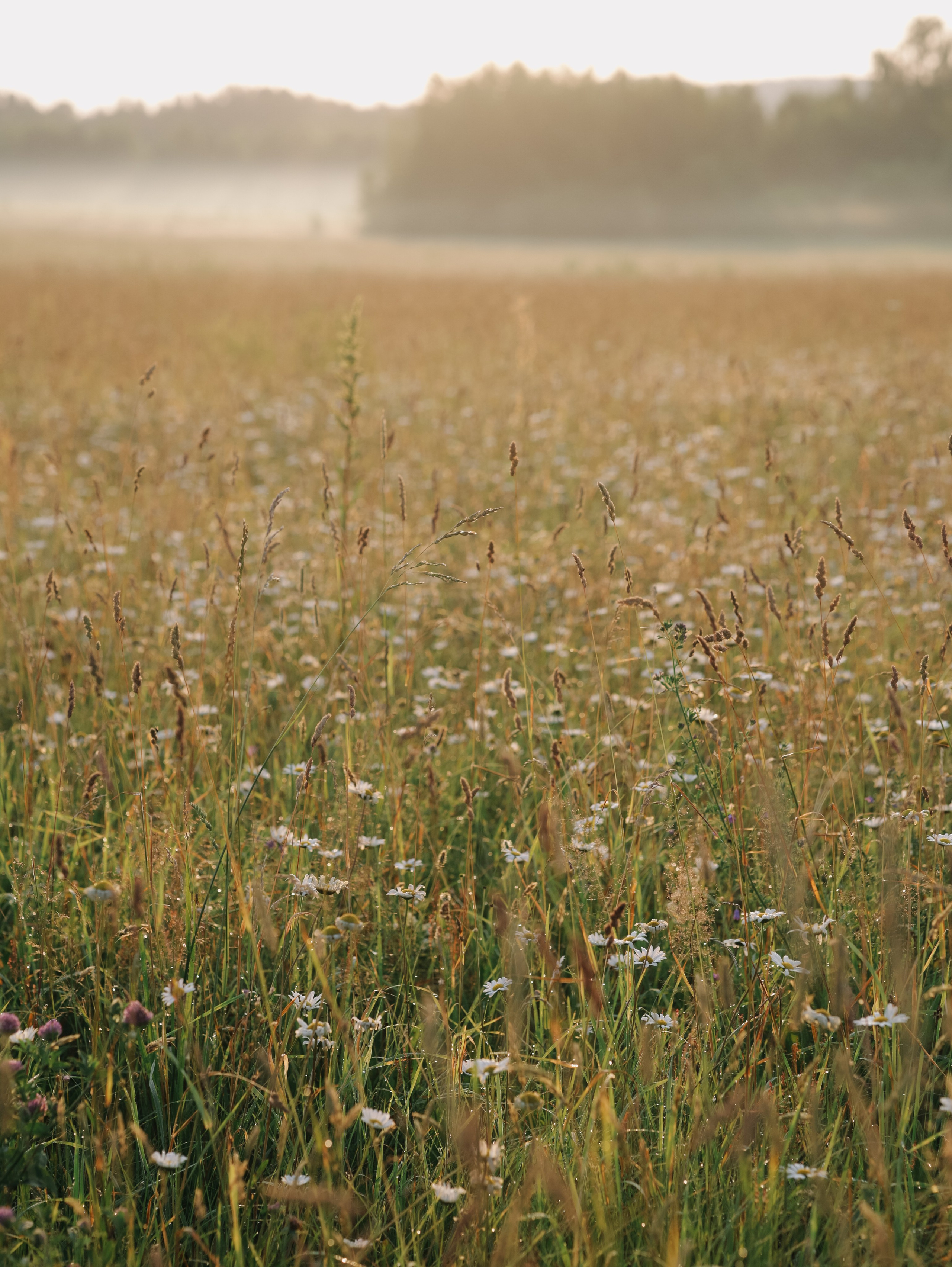Матушка Софья. Алёна Стерхова — Предметный и портретный фотограф. Ижевск