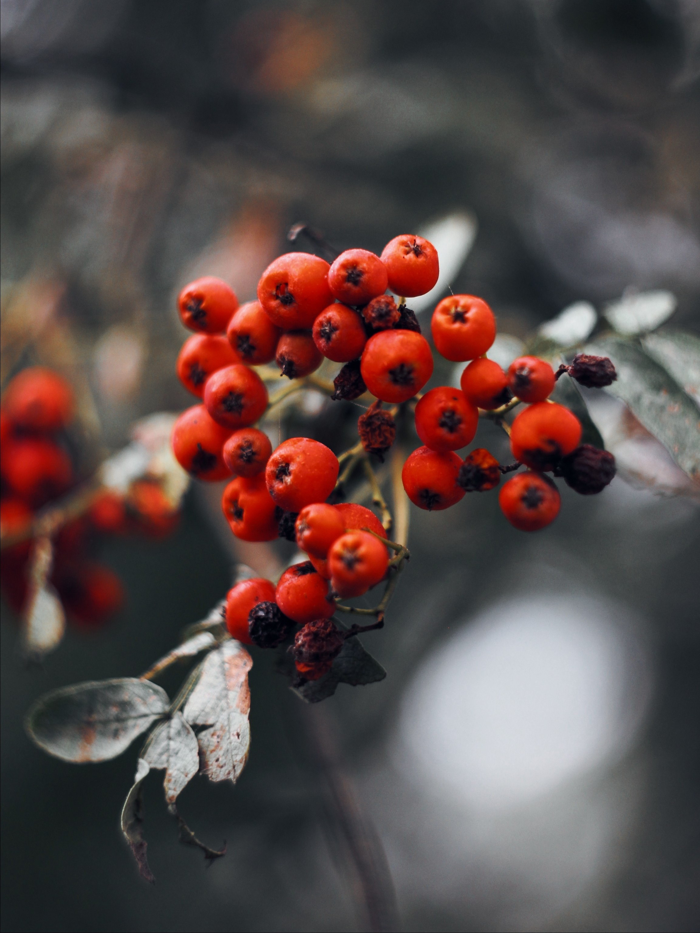 Меланхолия августа. С любовью, фотохудожник
