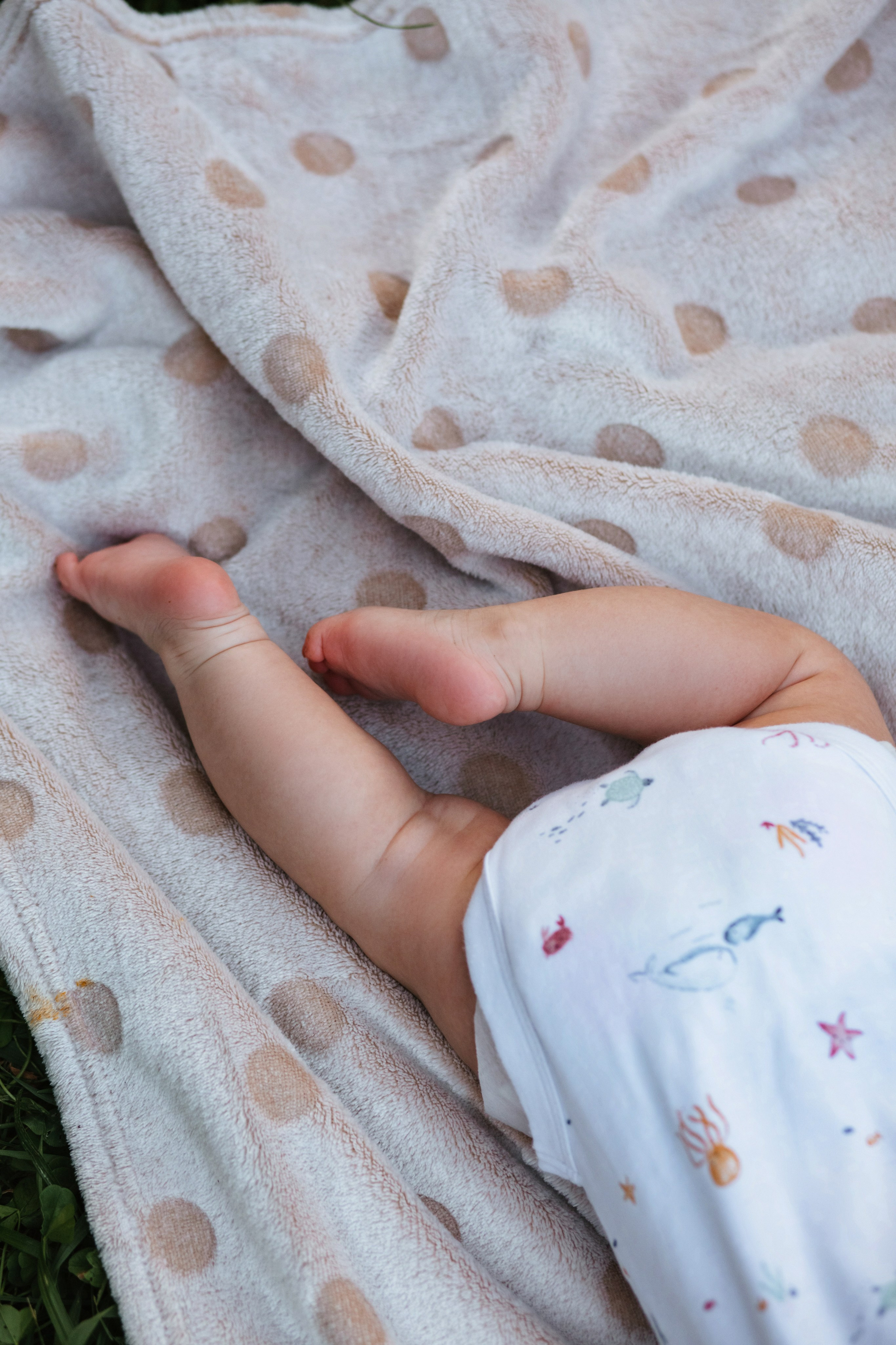 Полина и Лео. Фотограф в Волгограде и Москве | Анастасия Лаврова