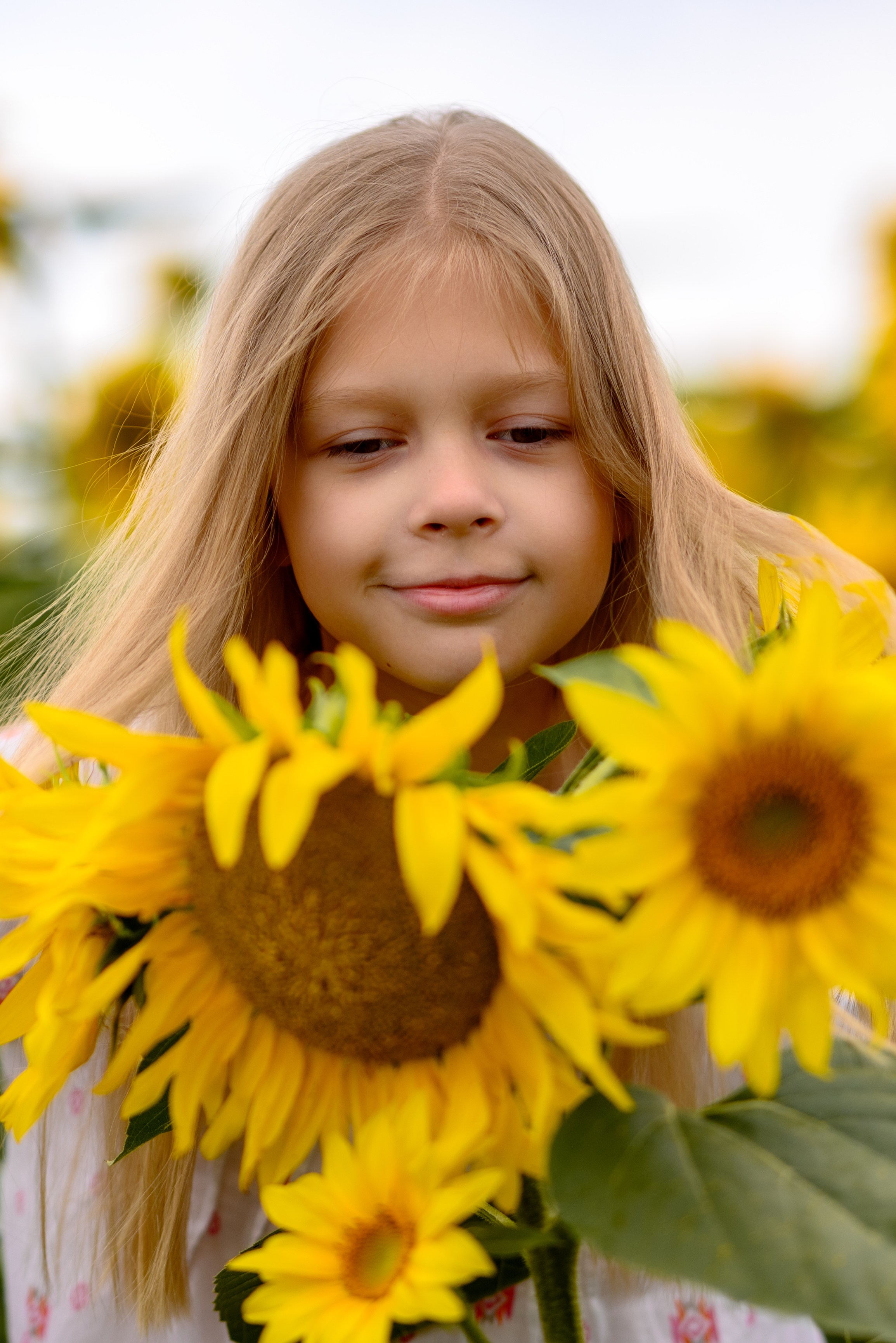 Детская фотосъемка на природе — девочка склонилась над подсолнухами