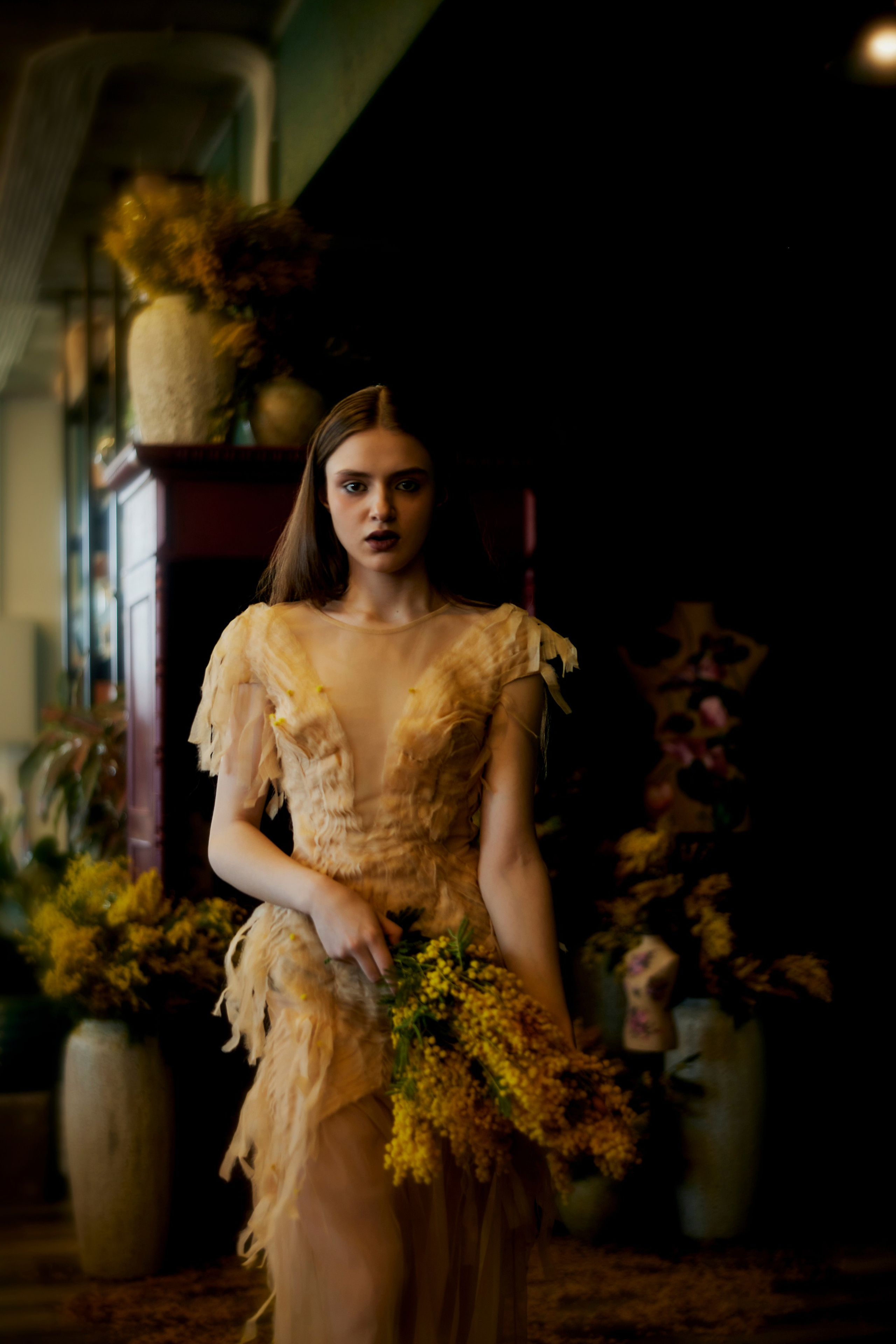 Мимоза. Сергей Ирклиенко