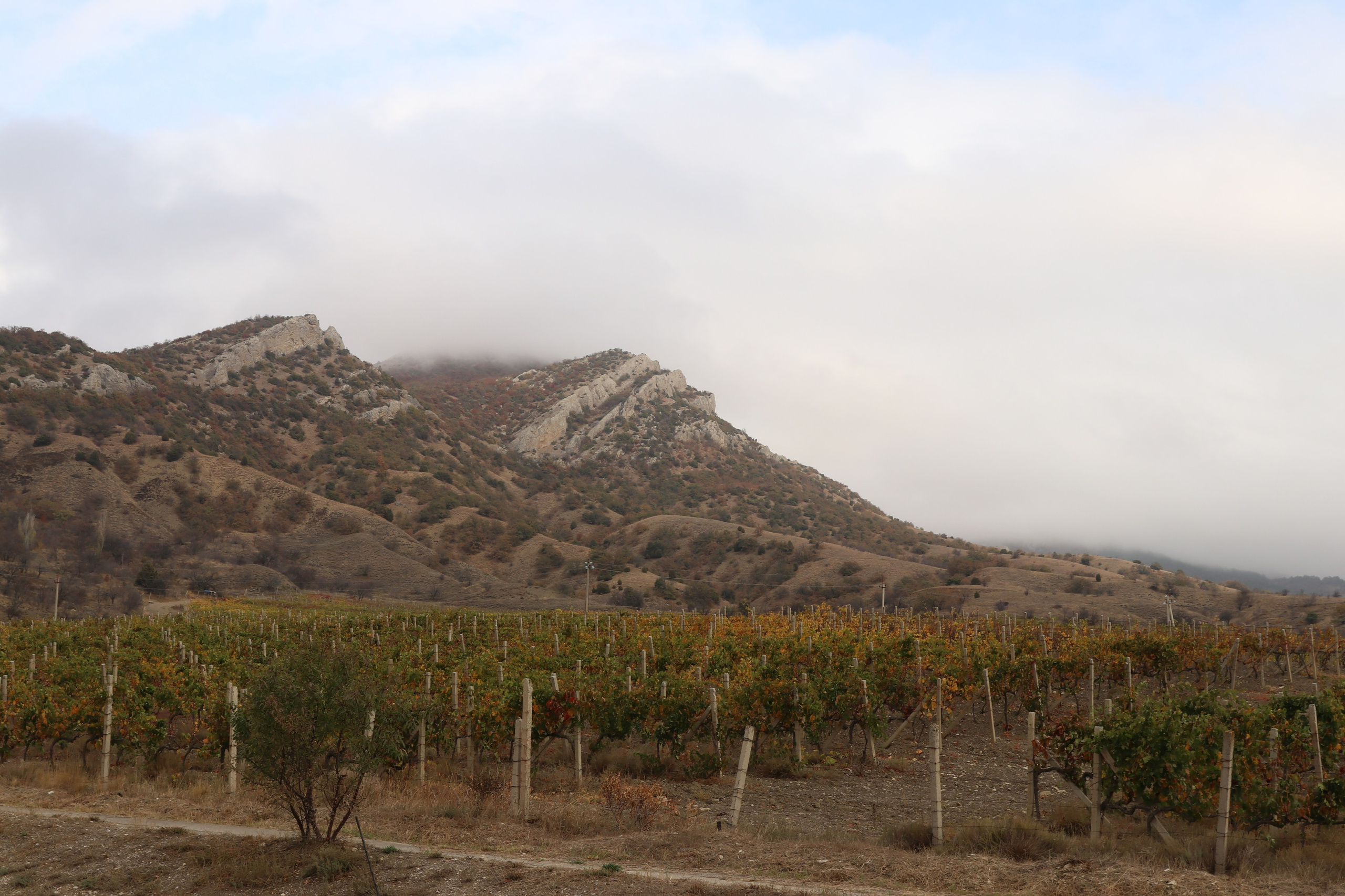 Крым. ЮБК (Гурзуф, Судак и их окрестности). Ноябрь 2023. Путешественник-фотограф из Санкт-Петербурга Татьяна Свистулина