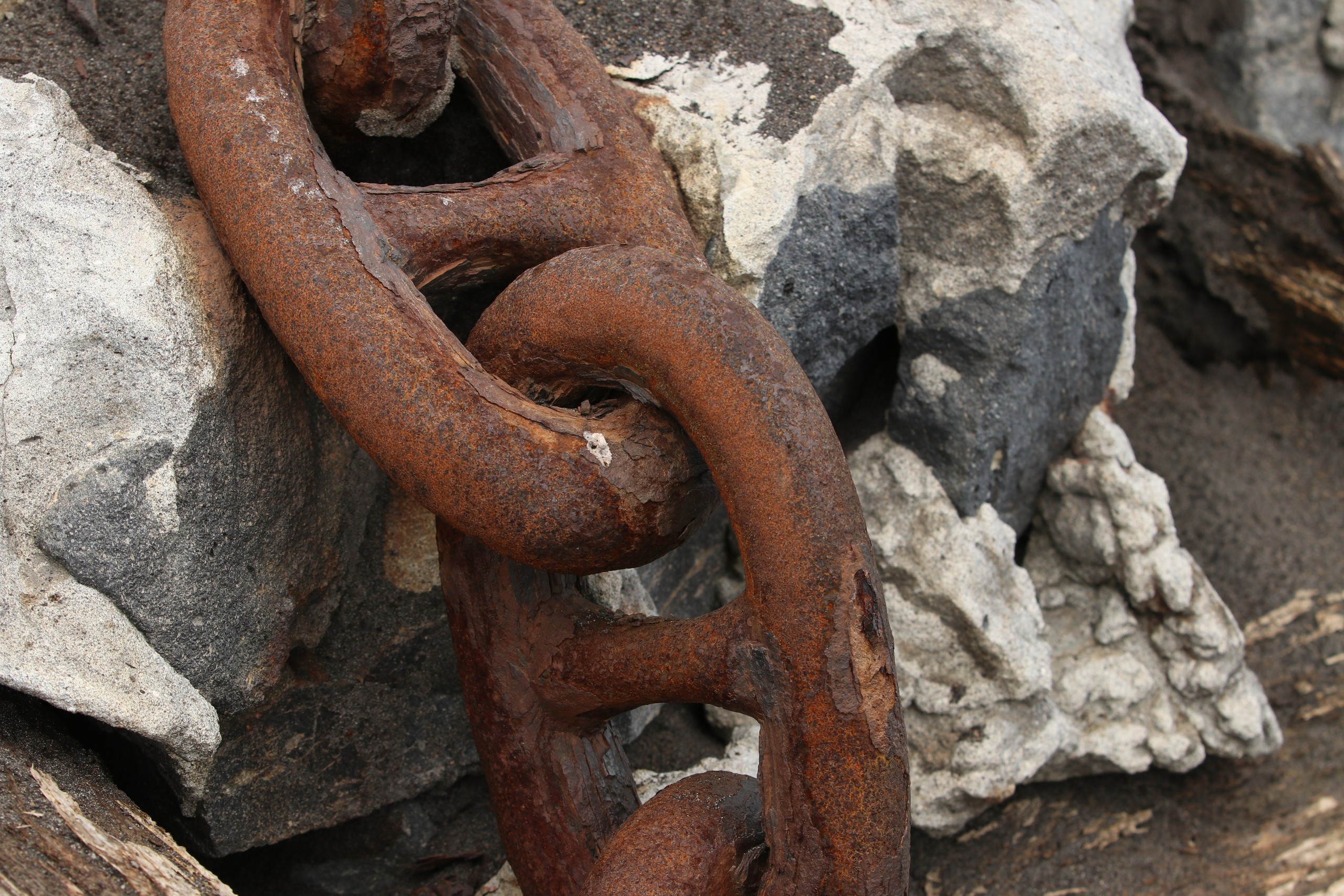 Камчатка и о. Парамушир. Июль 2024. Путешественник-фотограф из Санкт-Петербурга Татьяна Свистулина