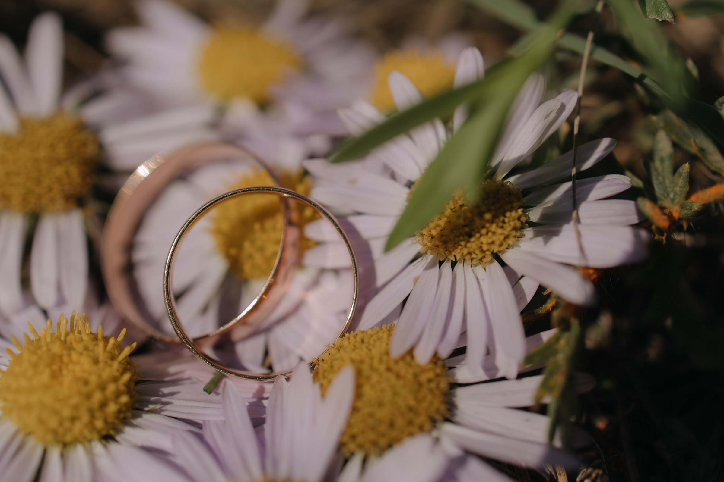 Жаргал и Софья. Фотограф Улан-Удэ