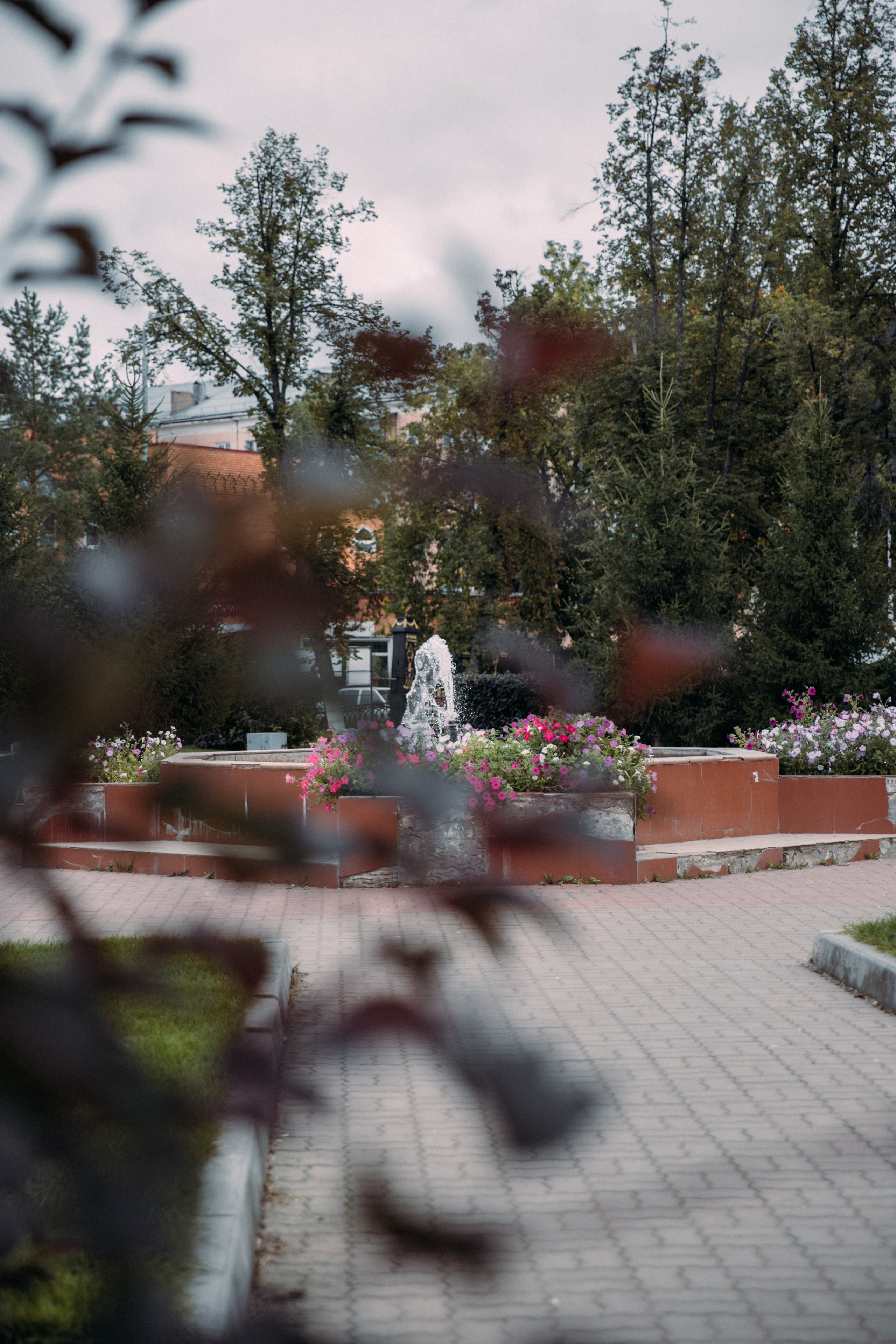 Елена и Вячеслав. Фотограф Анастасия Петрова