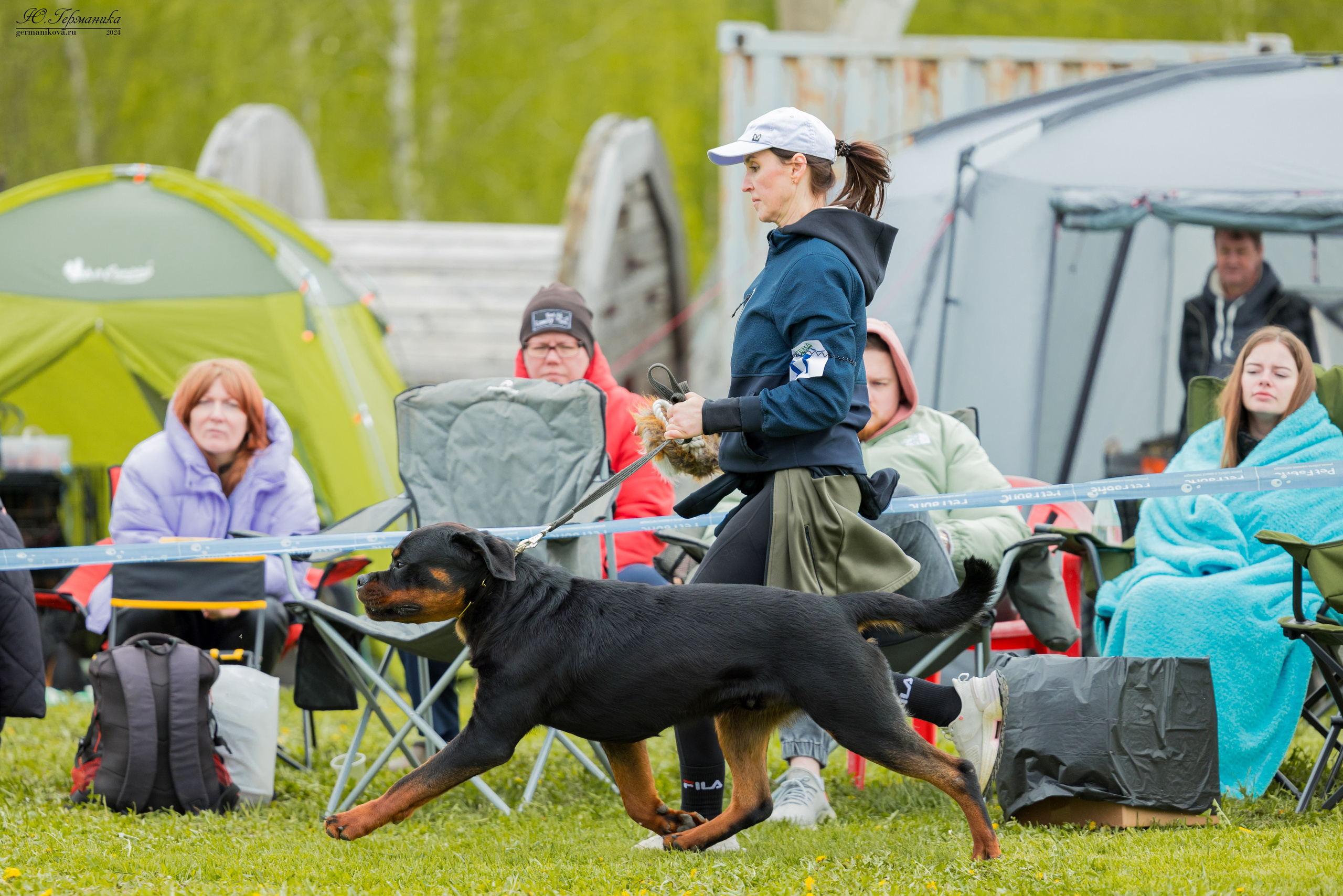 Нижний Новгород 11-12.05.2024 моно ротвейлеров. Фотограф-анималист Юлия Германика
