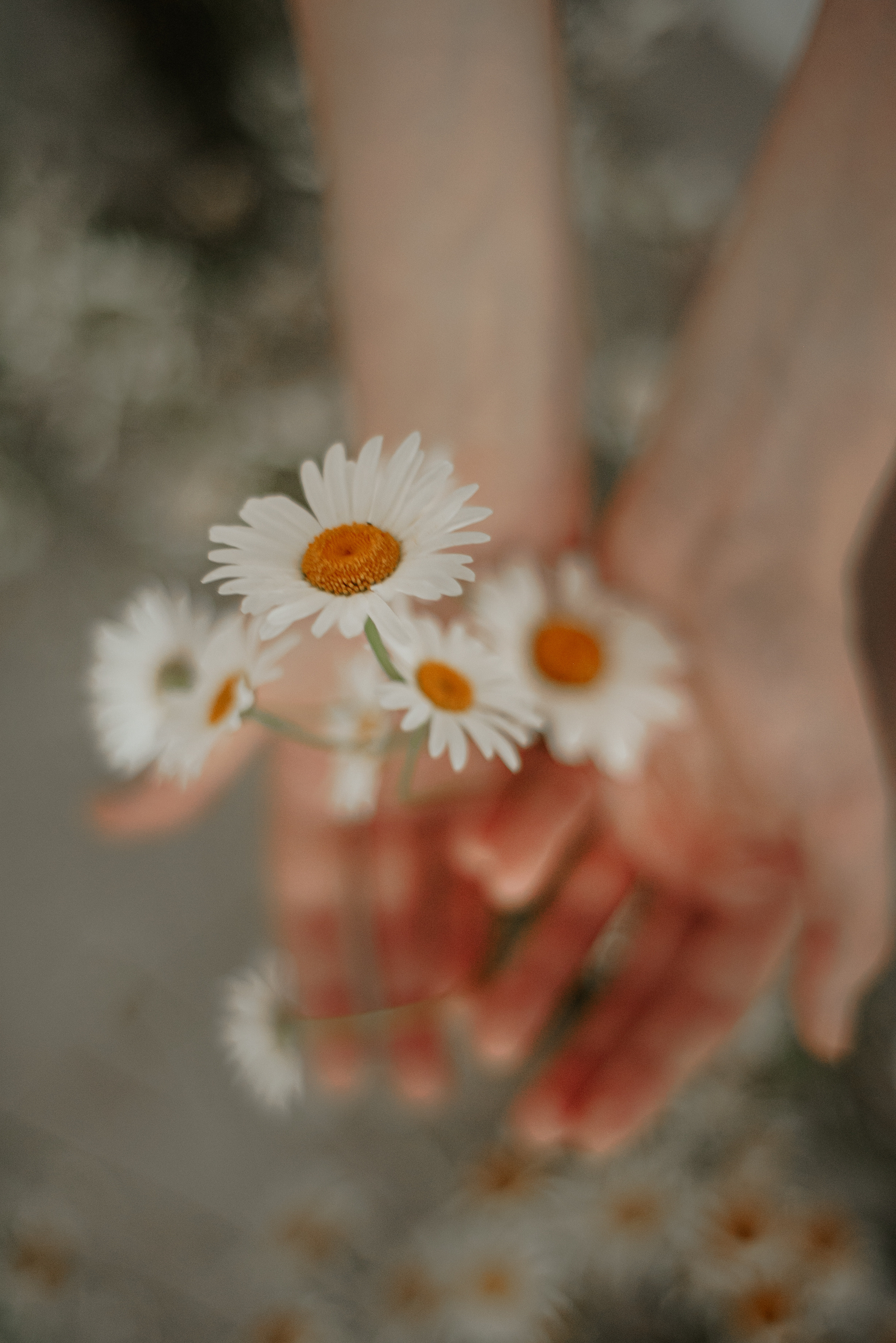 Ксения. Семейный фотограф. Великанова Ирина. Санкт-Петербург. Пушкин