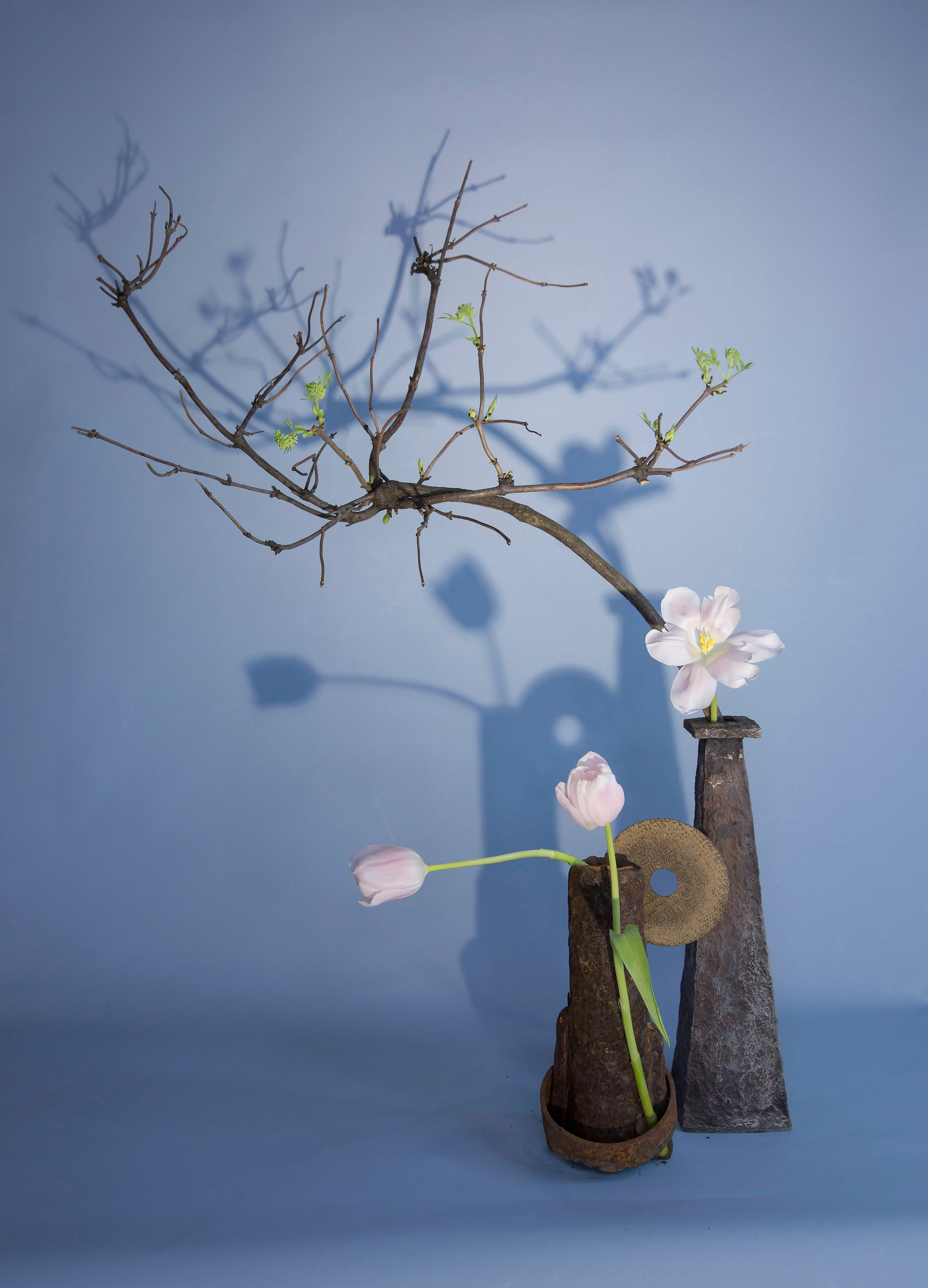 Икэбана Барне. Фотограф Анна Барне