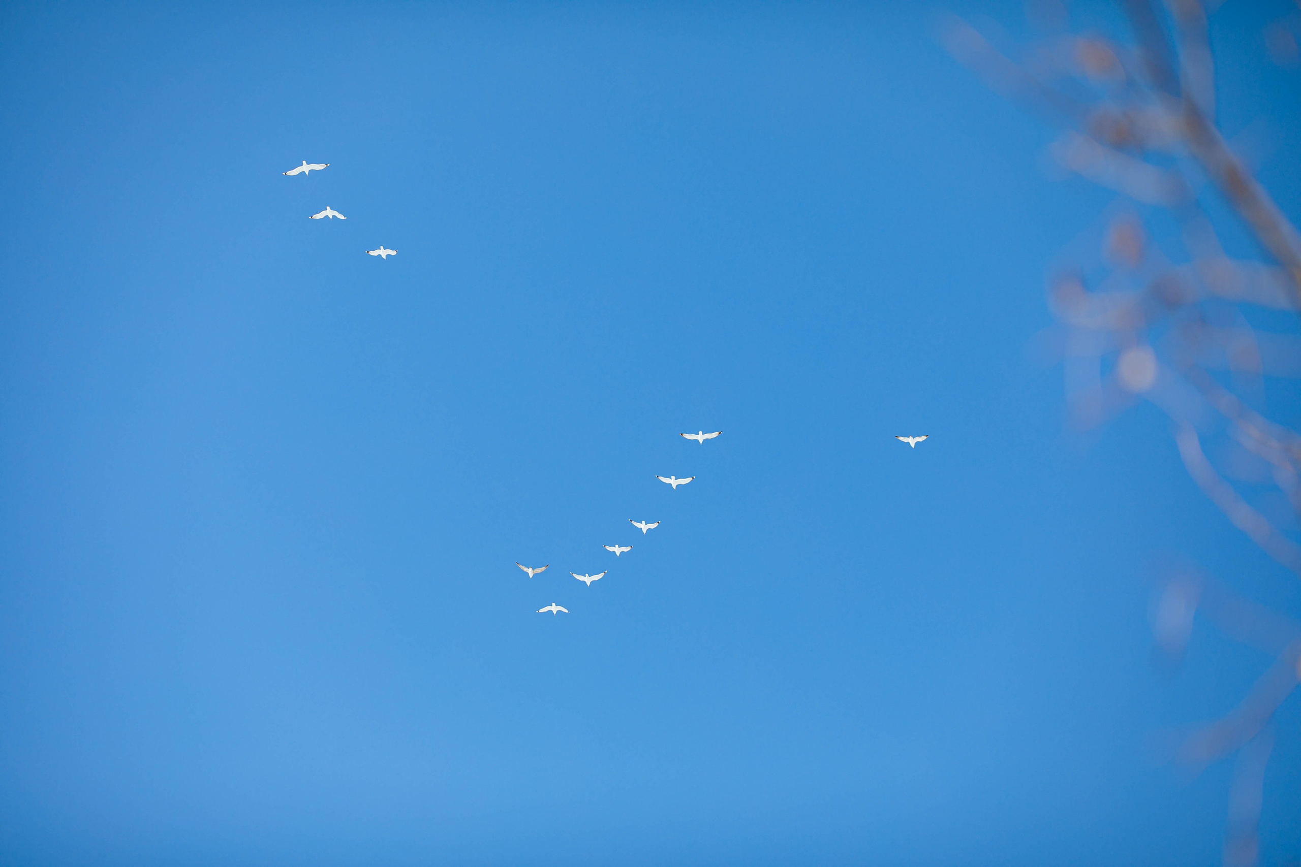Зимние забавы. Семейный фотограф в Краснодаре