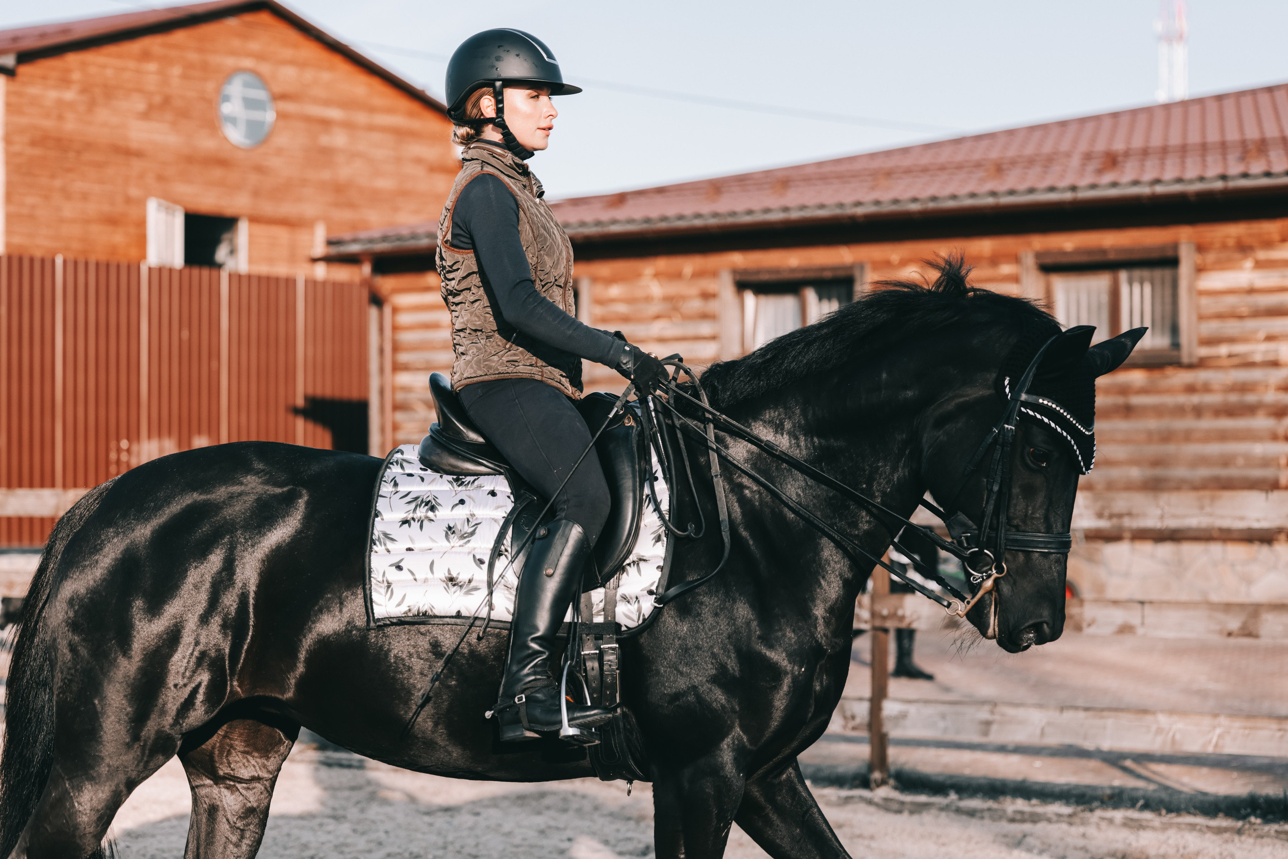 КСК Ждановское фотосессия. Фотосессии с лошадьми