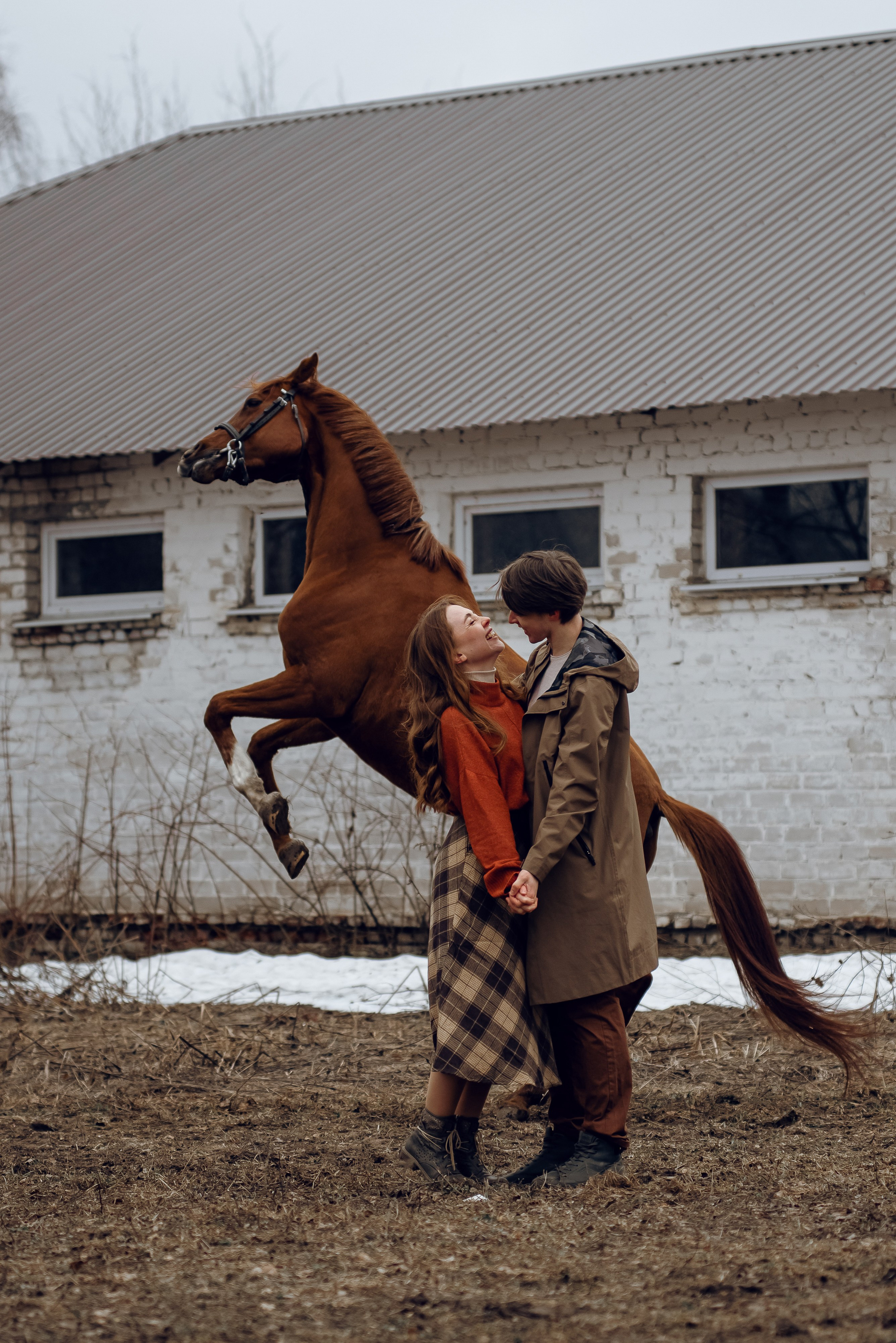 Весенний Ветер. Фотосессии с лошадьми. Женский фотограф Наталья Латыпова