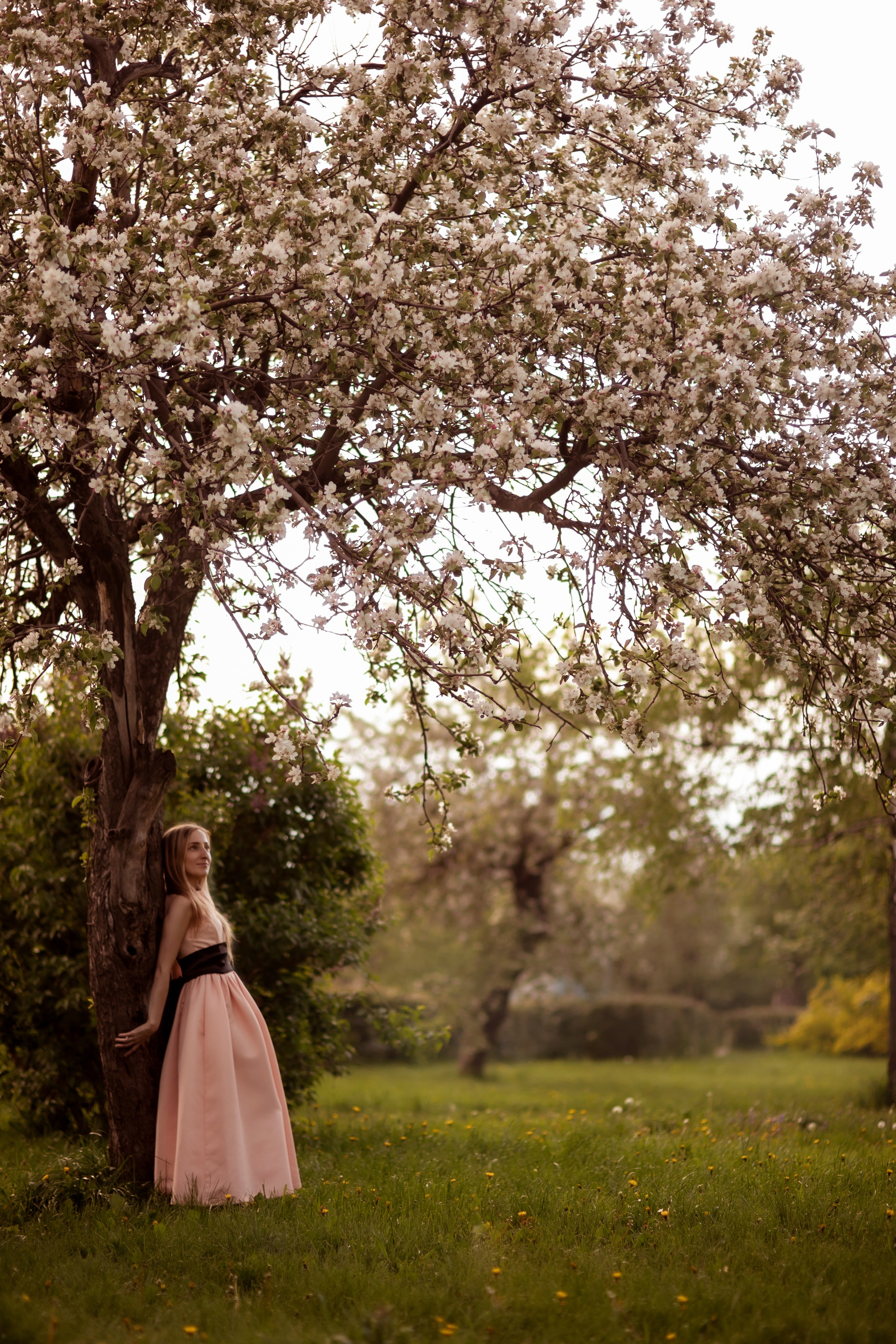 Весна. Семейный фотограф в Москве