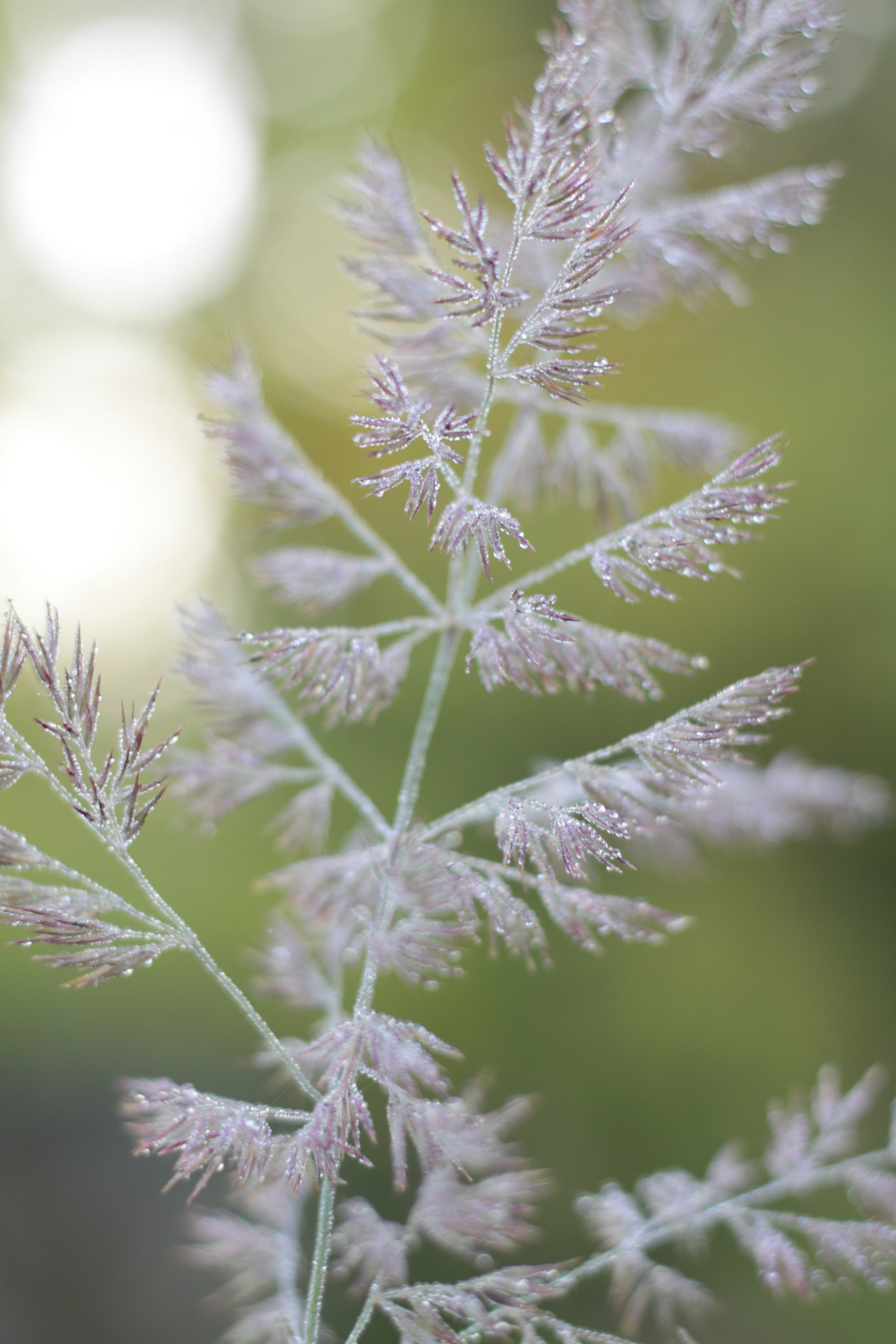 Старое природное, отбирала Katamount (Катерина Горохова). Главная
