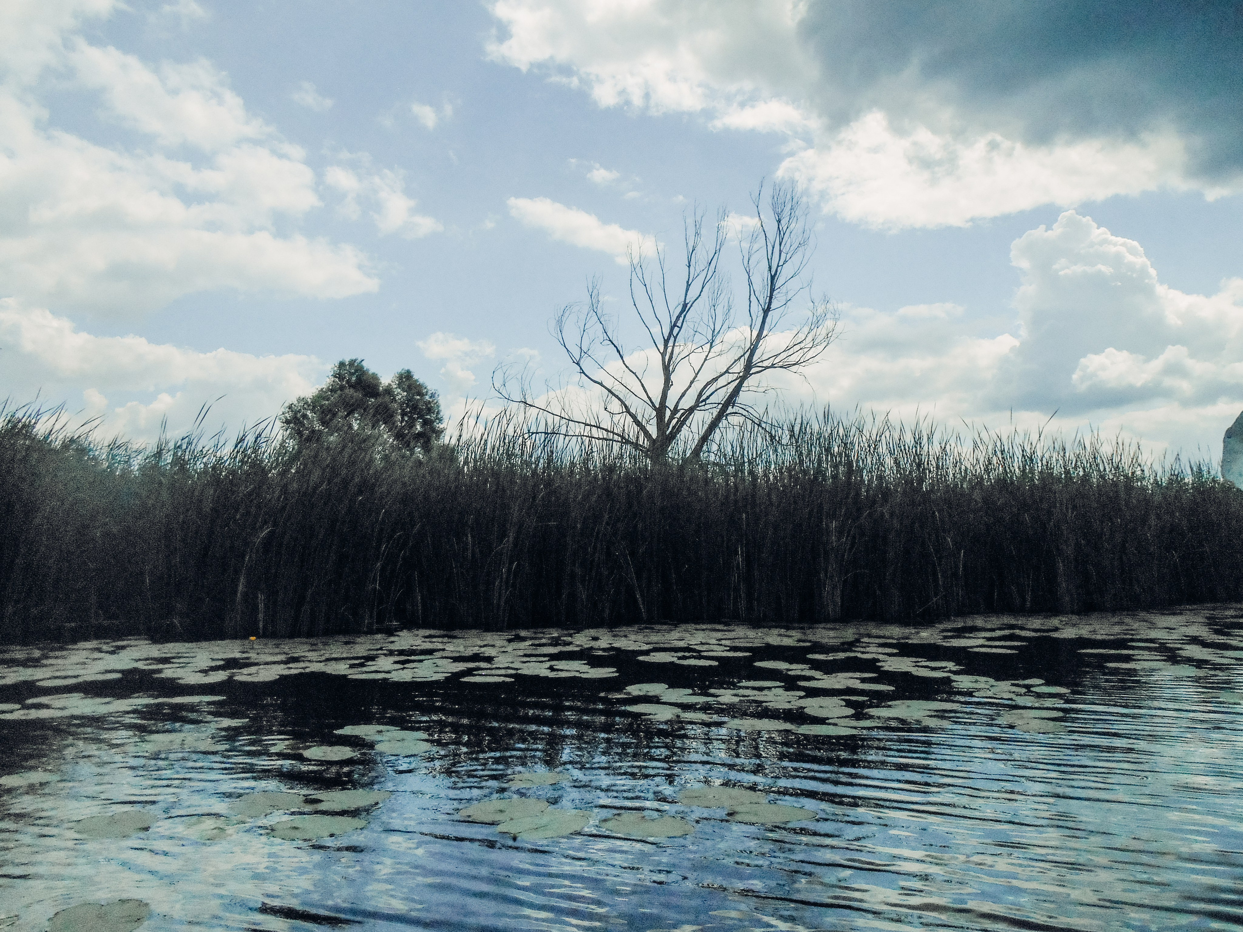 Воронеж. Репортажный и портретный фотограф в Липецкой, Воронежской, Московской области Тёма Белоусов